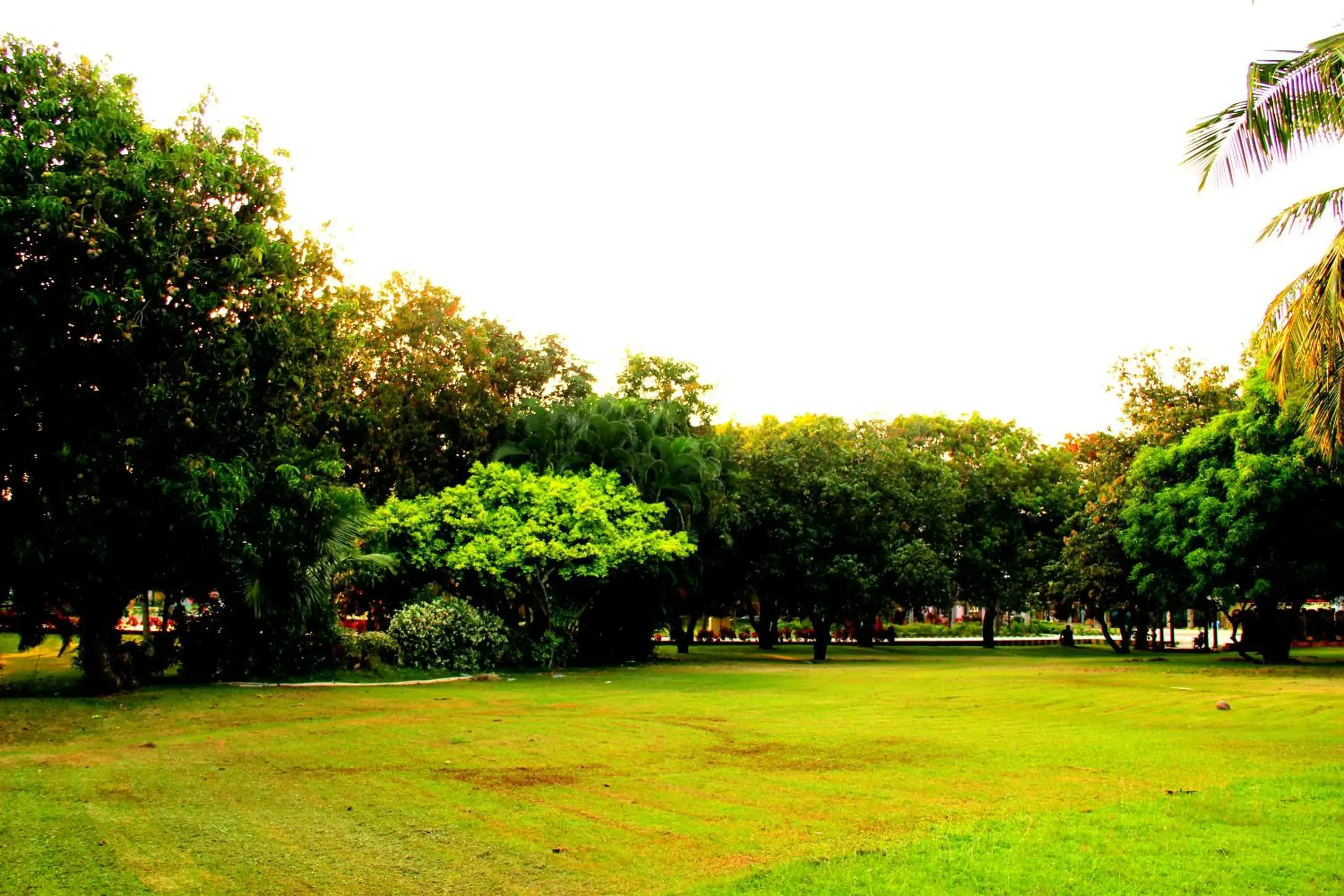 Sea View Room in Vgp Golden Beach Resort Sea View Room in Vgp Golden Beach Resort