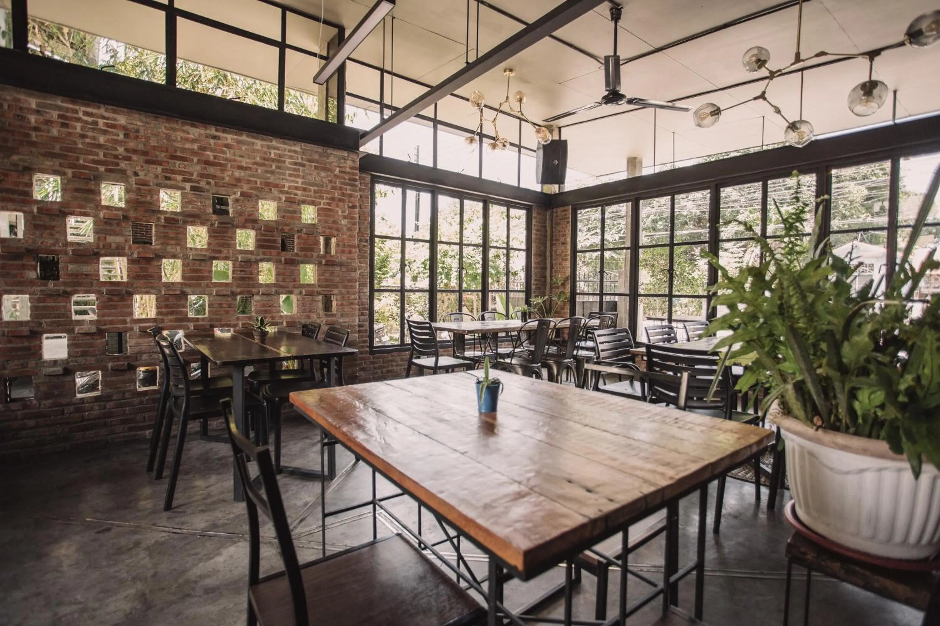 Restaurant/places to eat in The Flying Fish Hostel