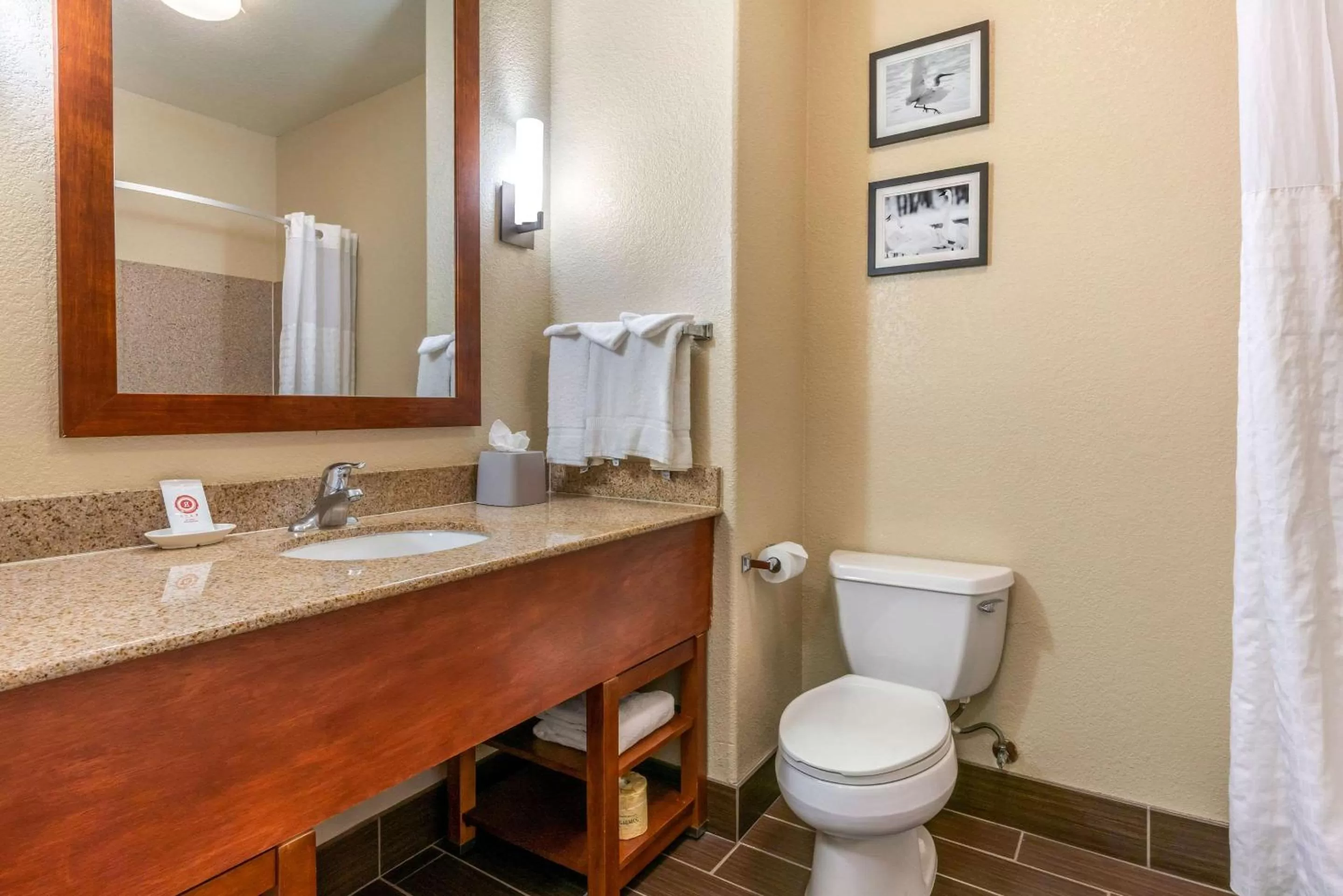 Bathroom in Comfort Inn & Suites Galt - Lodi North