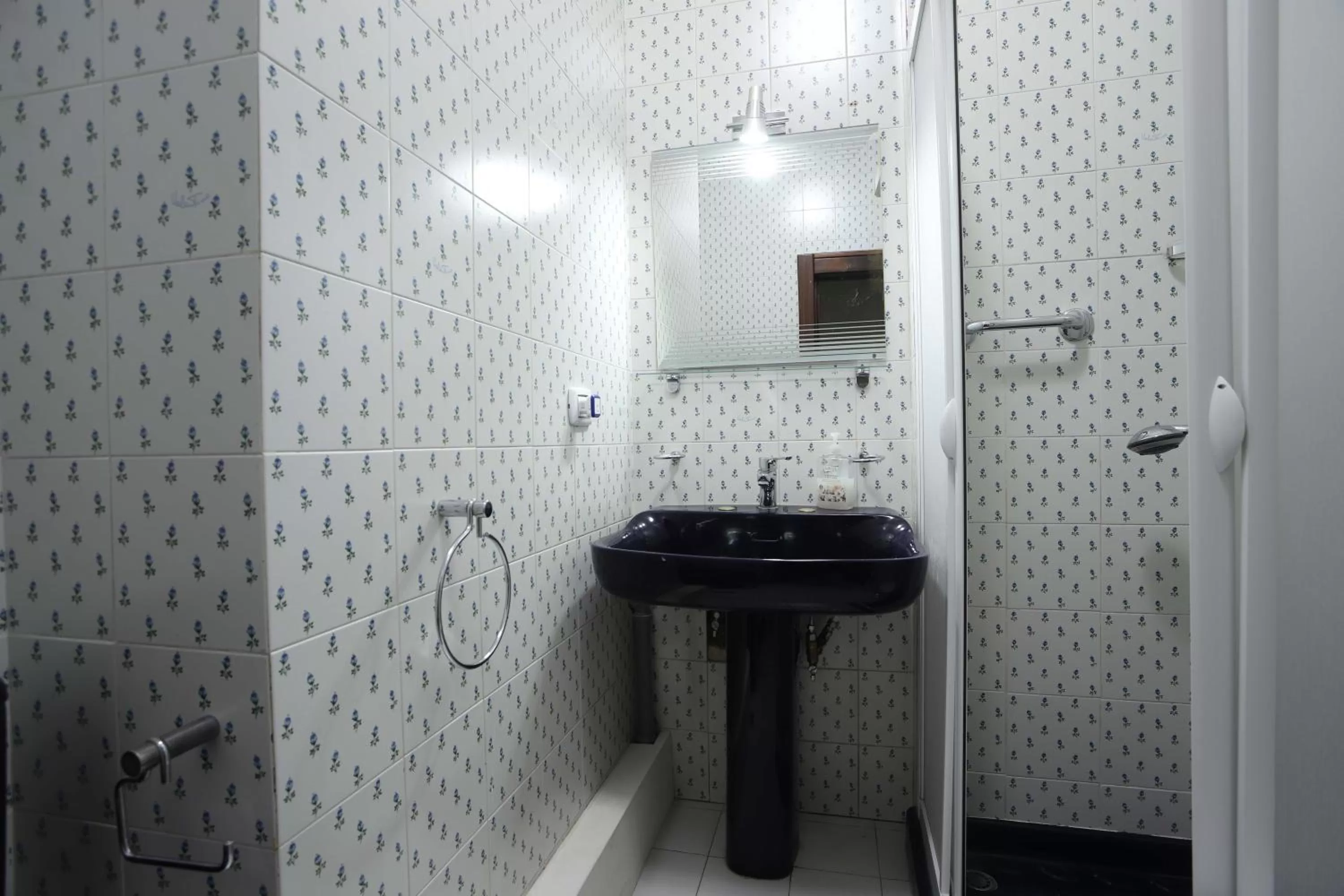 Shower in Clorinda's rooms