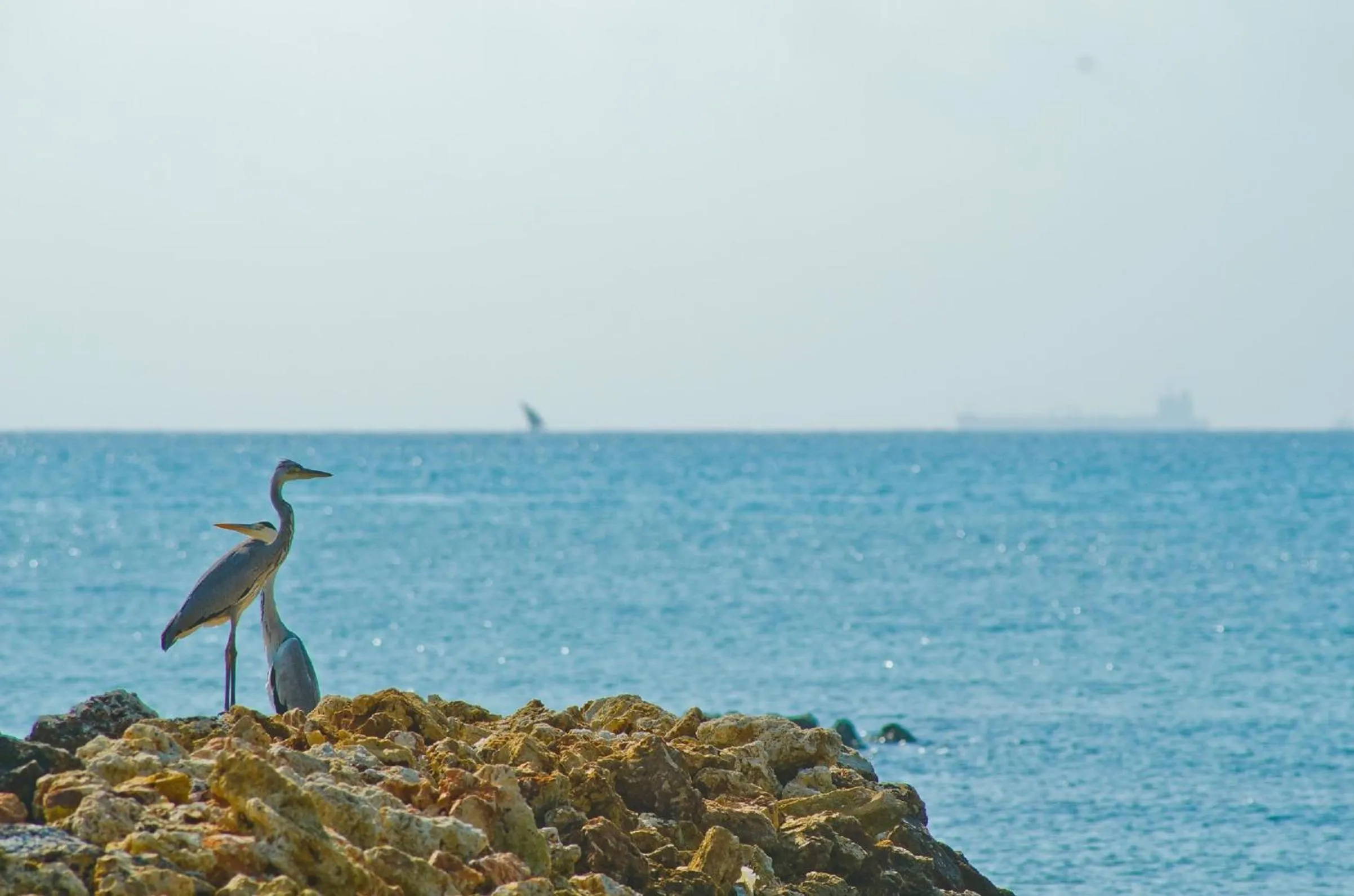 Sea view in White Sands Hotel