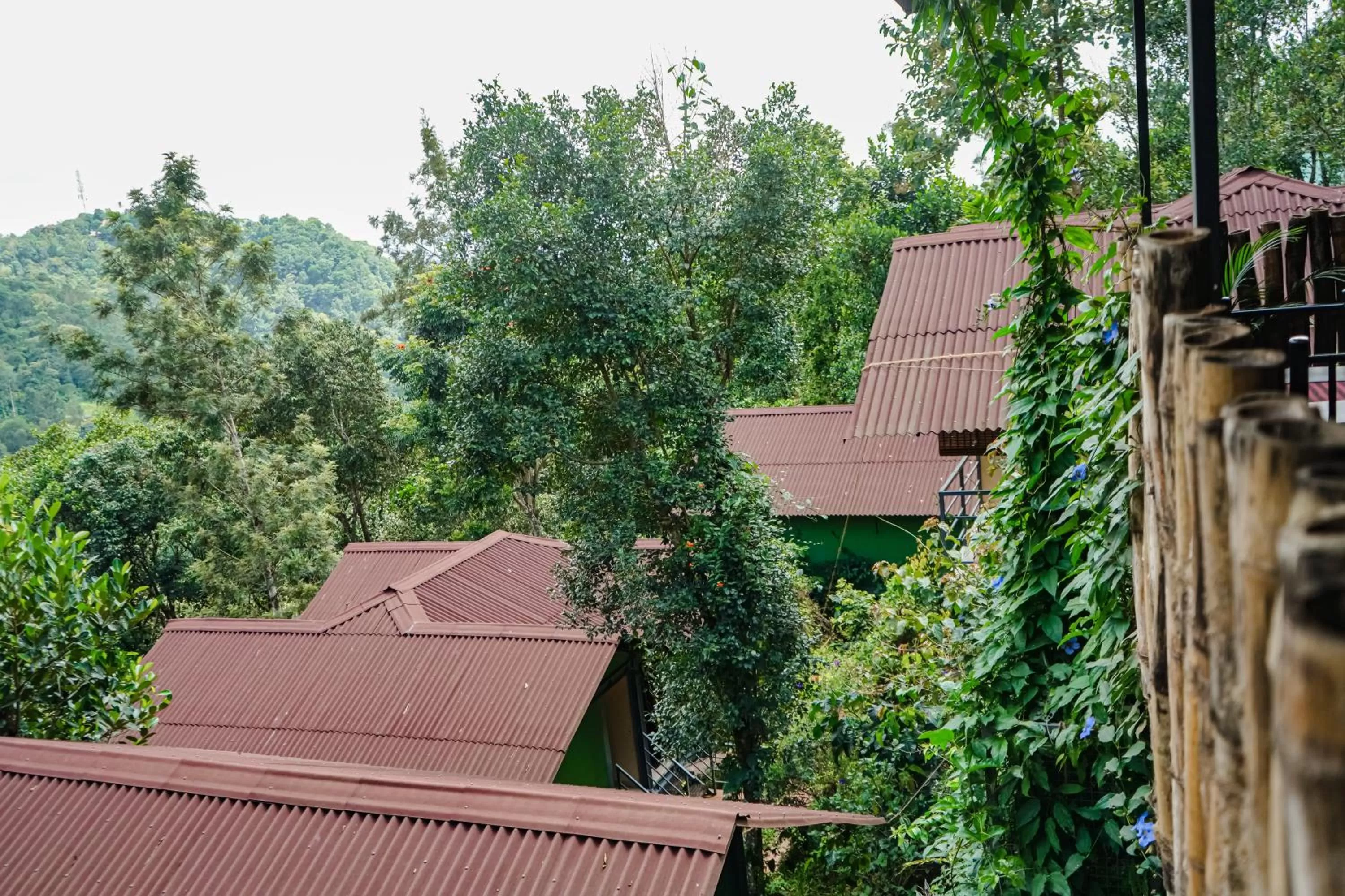 Balcony/Terrace in Edens Munnar