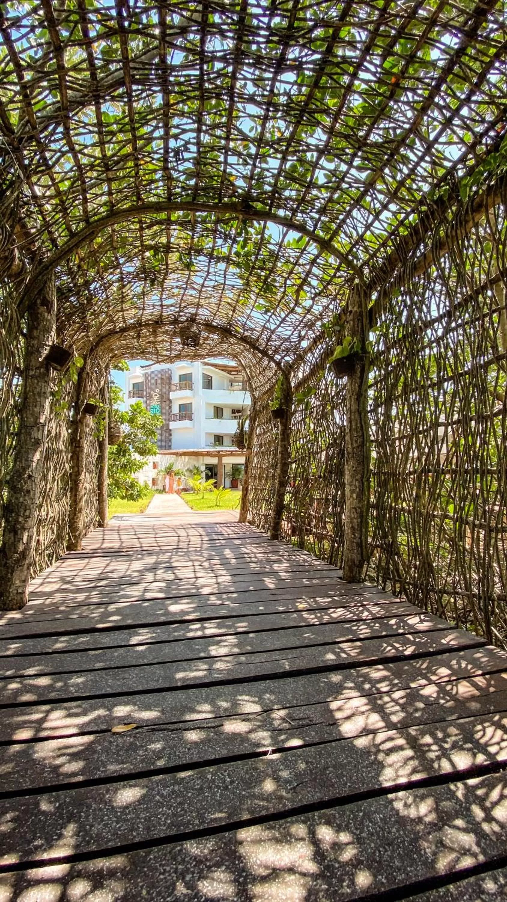 Natural landscape in Hotel Rio Lagartos
