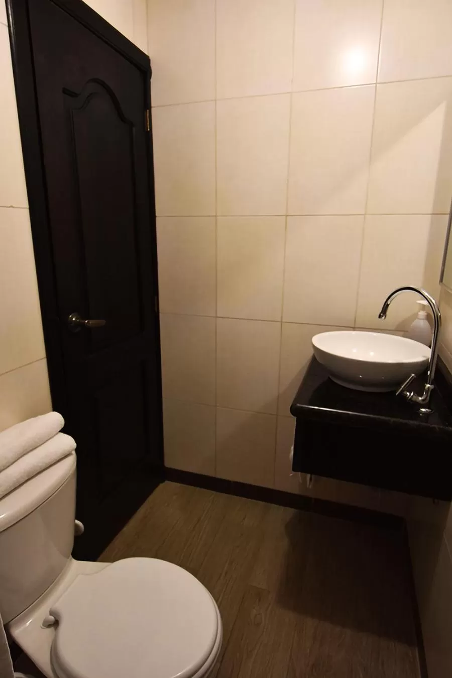 Bathroom in Hotel Plaza Victoria