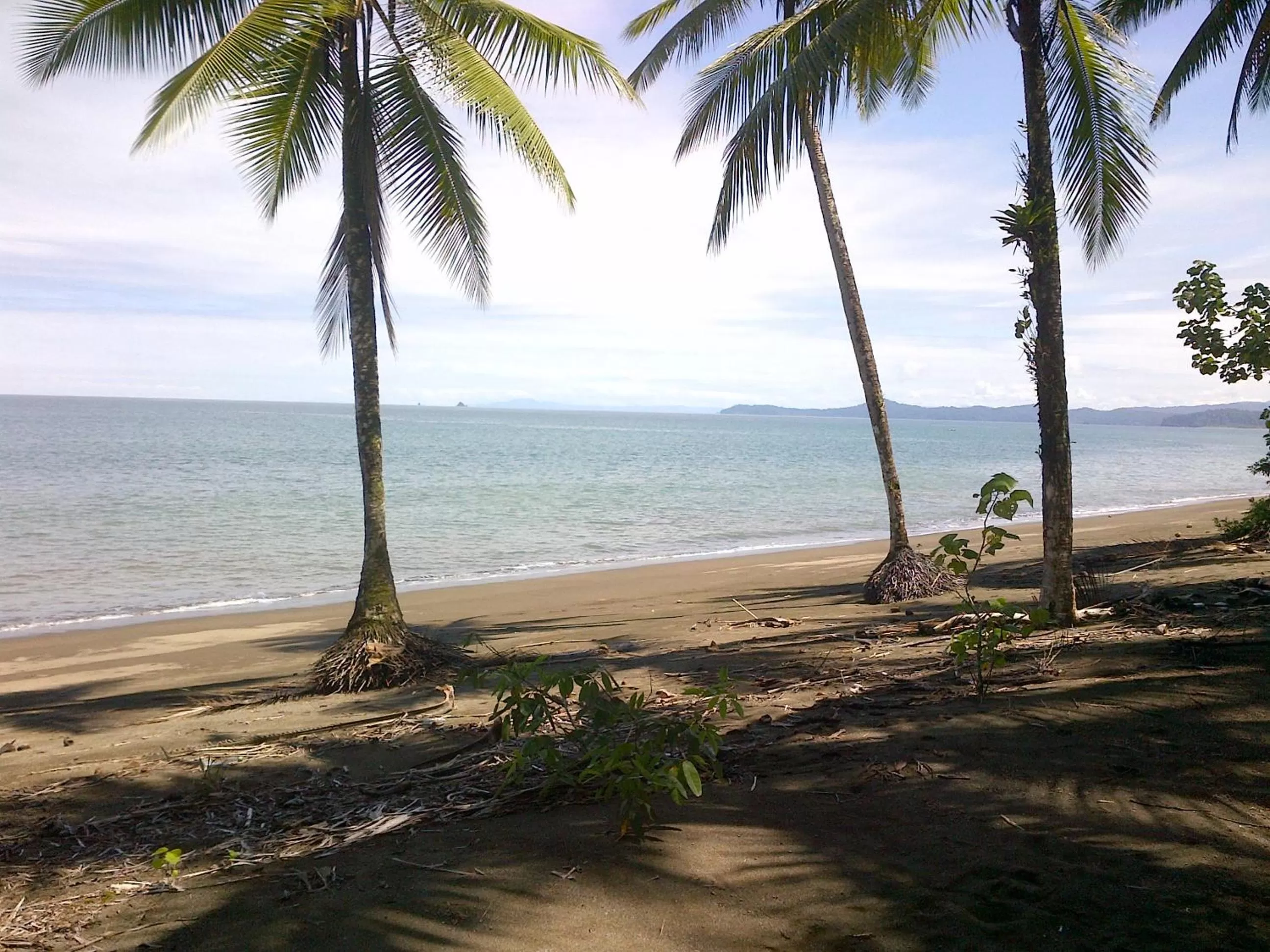 Activities, Beach in Posada Turística Rocas De Cabo Marzo