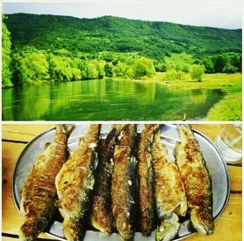 Bed and Breakfast Family Djukic