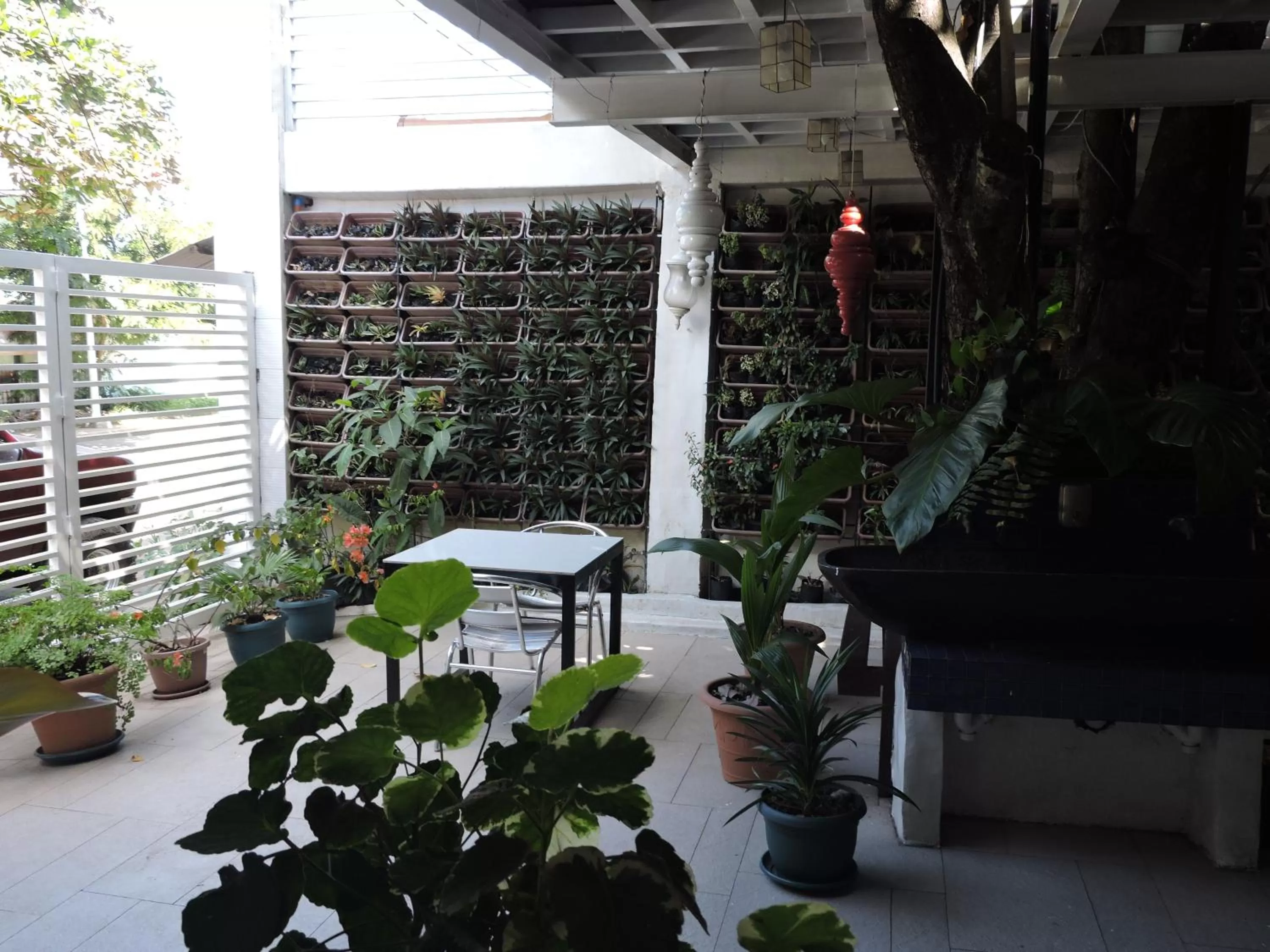 Garden in Orange Mangrove Pension House by SMS Hospitality