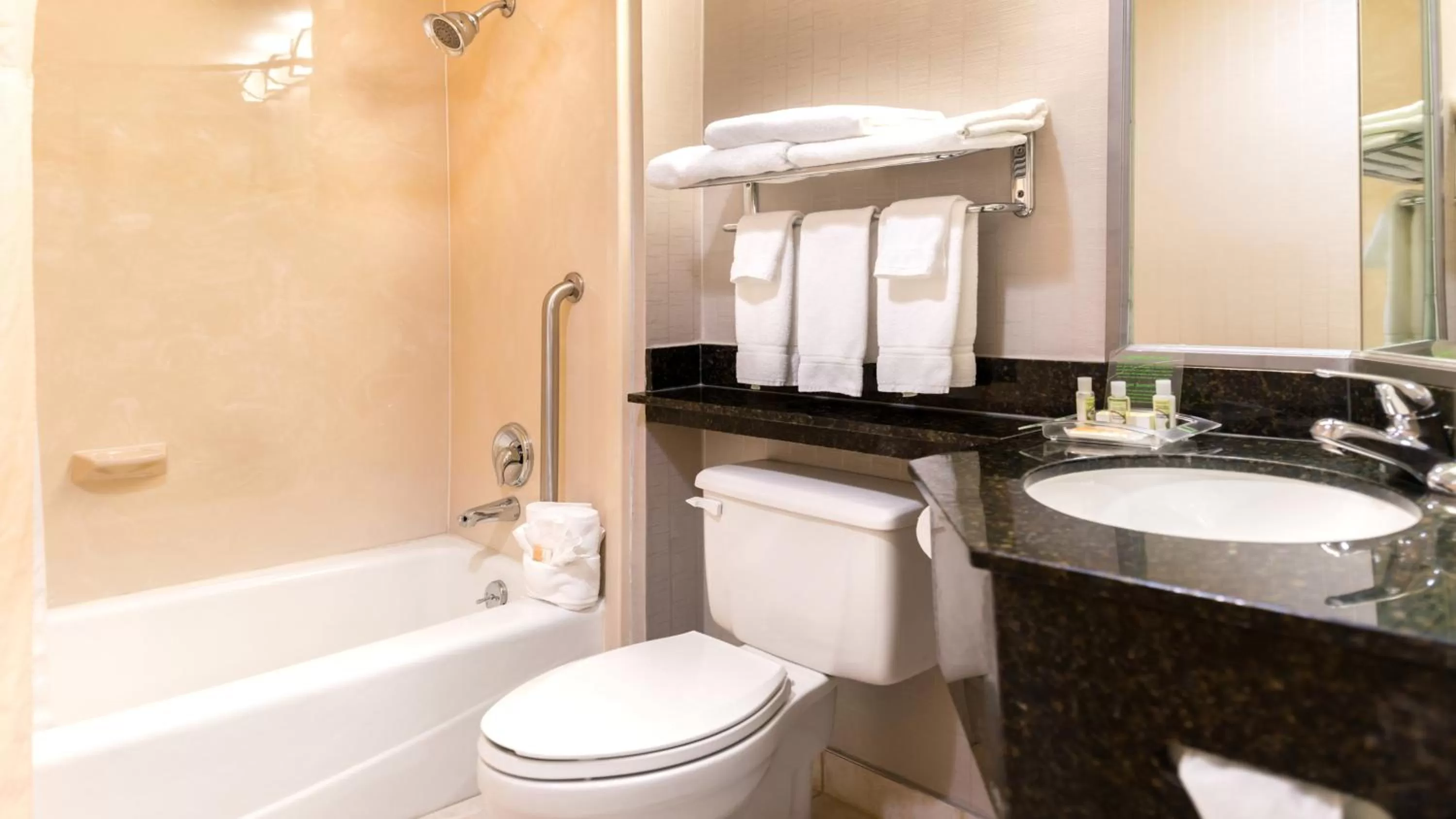 Bathroom in Holiday Inn Hotel & Suites Warren by IHG