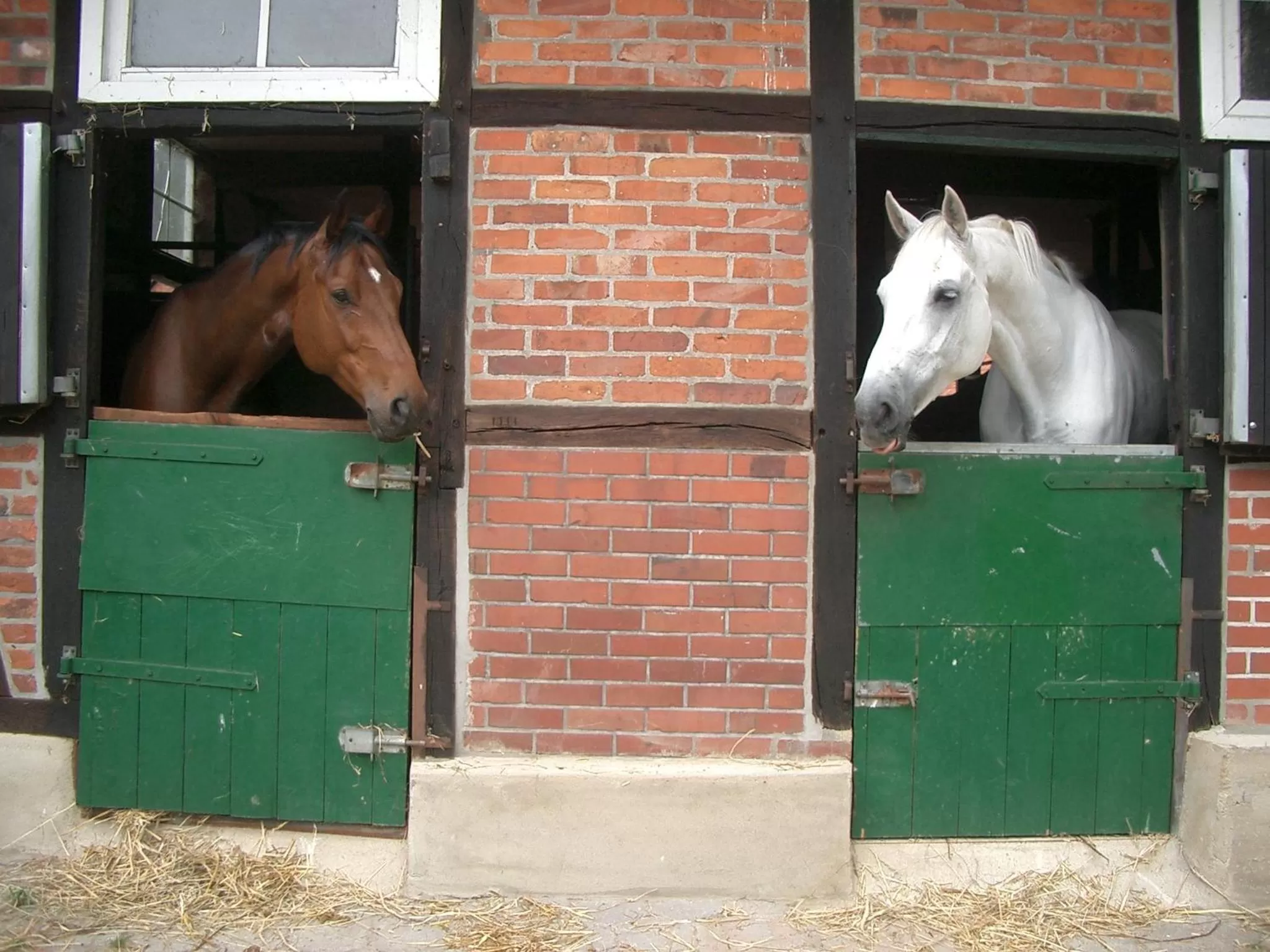 Pets in Hotel Hof Sudermühlen