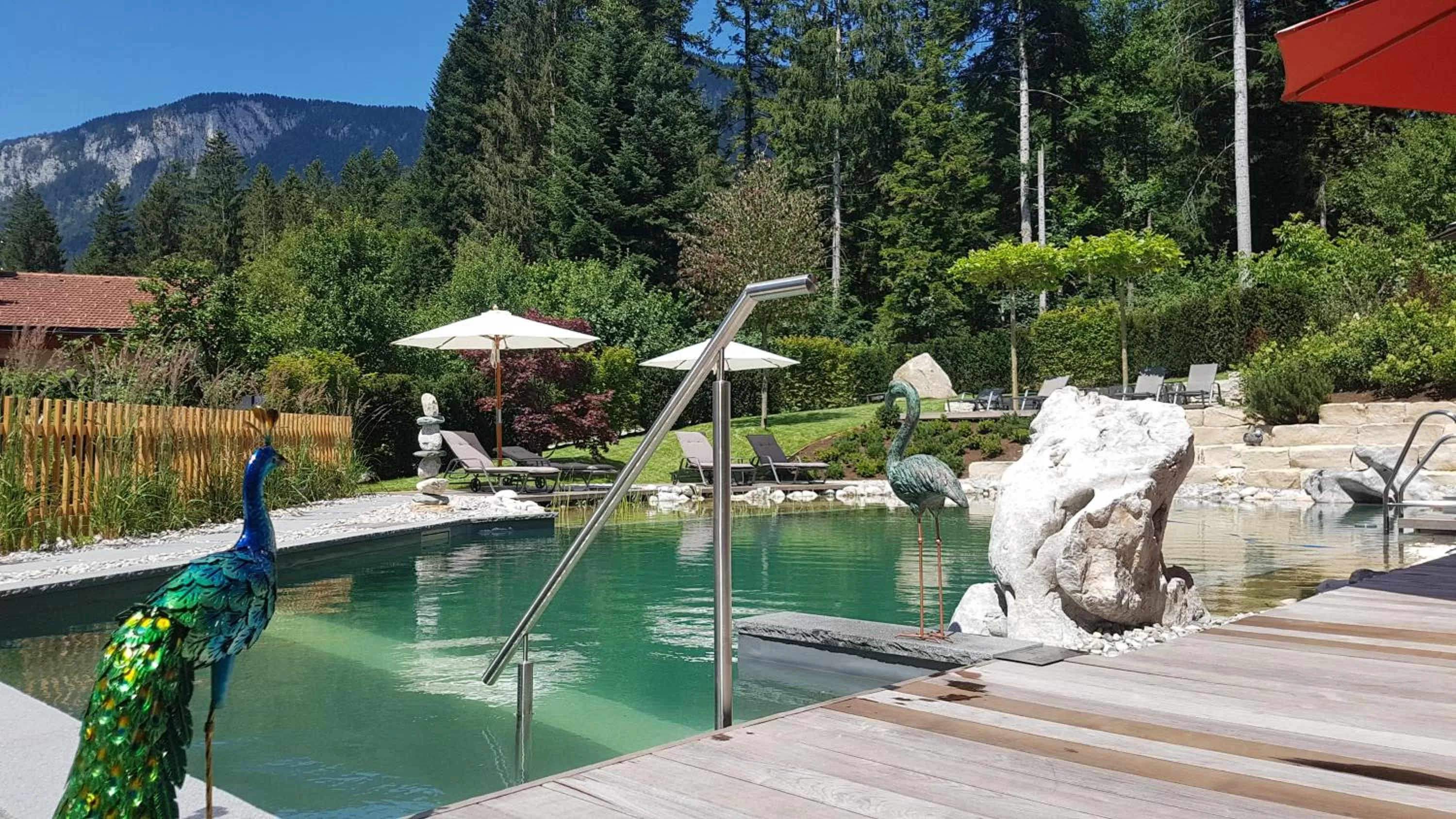 Swimming pool in Hotel Alpenpanorama
