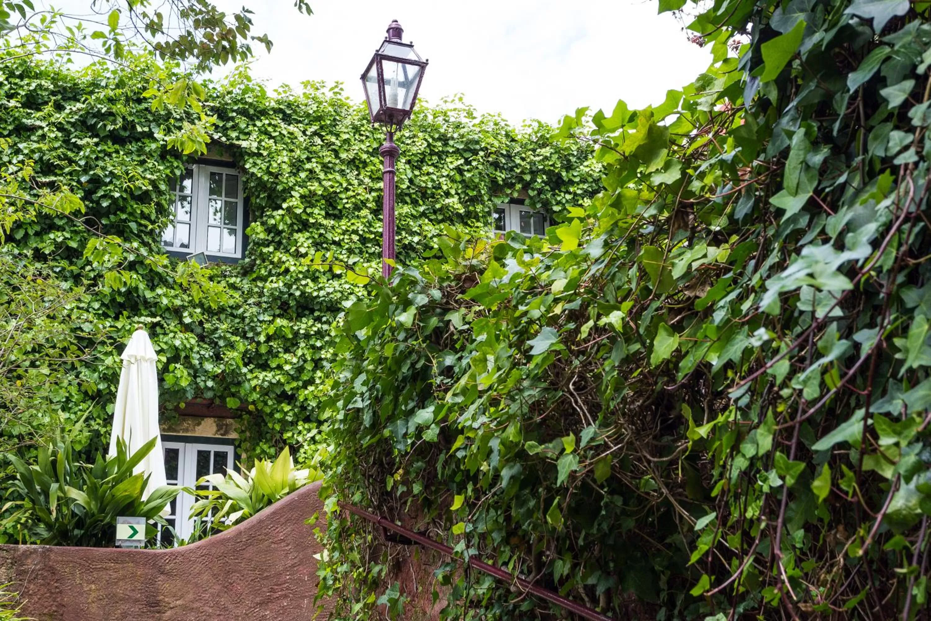 Garden view in York House Lisboa Hotel