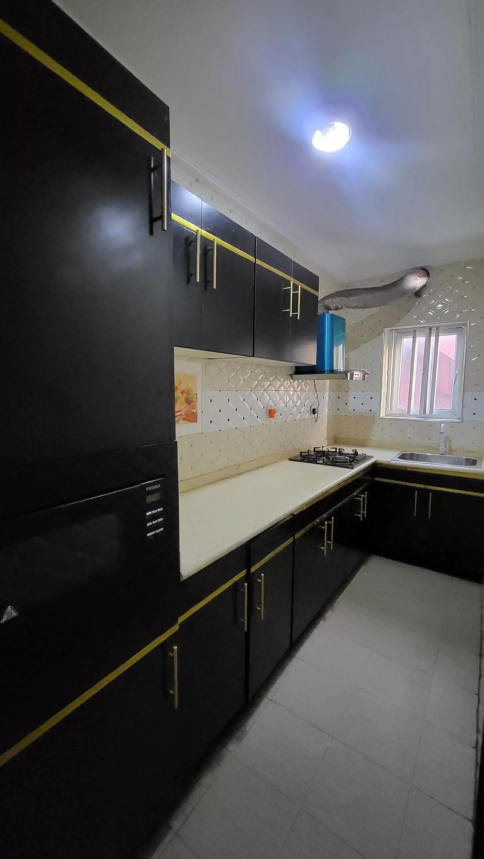 Kitchen/Kitchenette in Palazzo Apartments