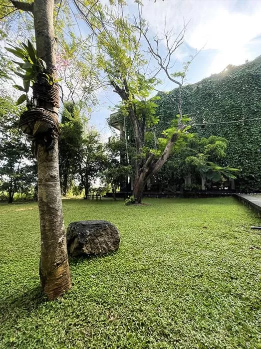 Property building, Garden in Dambulla Rock Arch