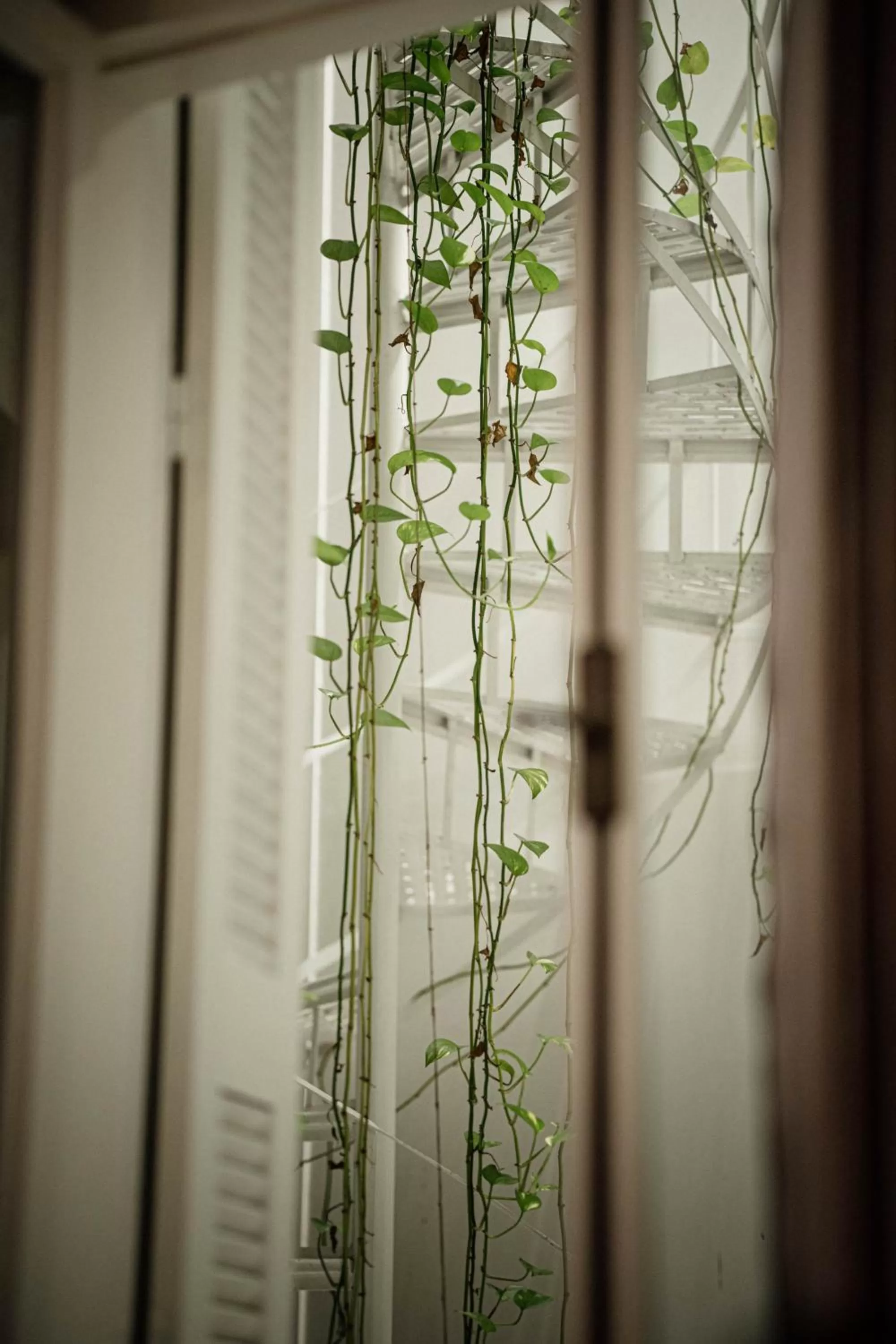 View (from property/room) in The Zillers Boutique Hotel