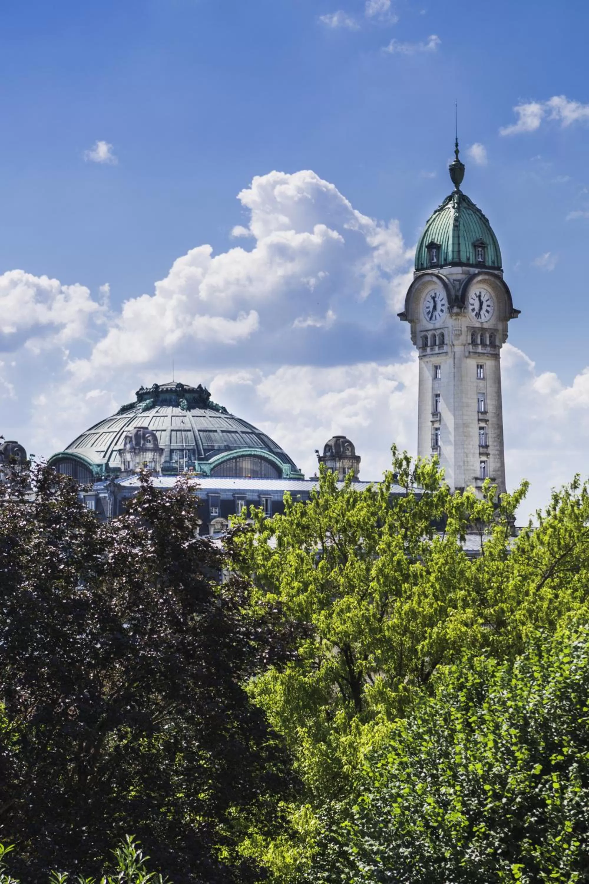Area and facilities in ibis budget Limoges Centre Gare