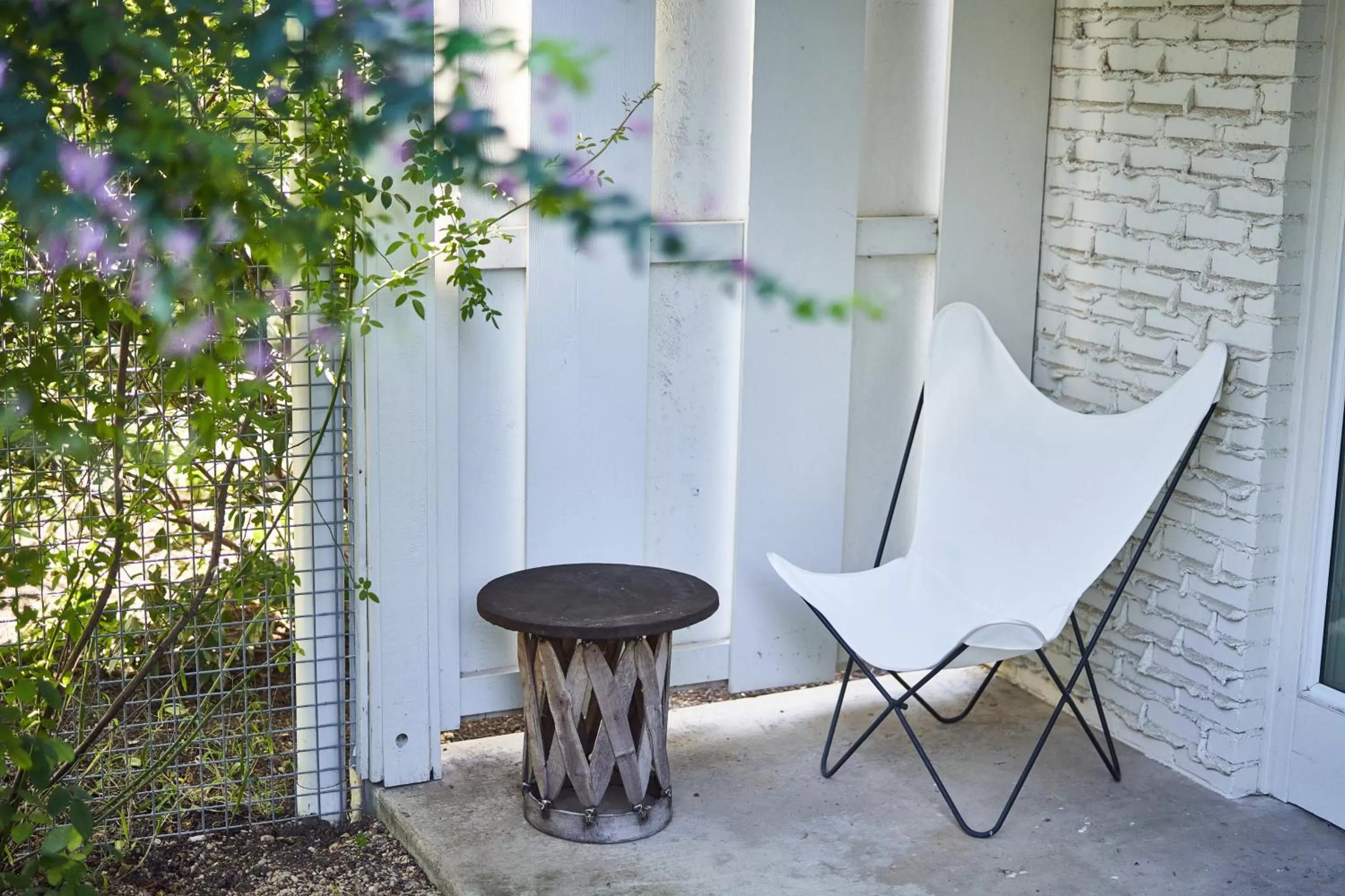 View (from property/room) in Shady Villa Hotel