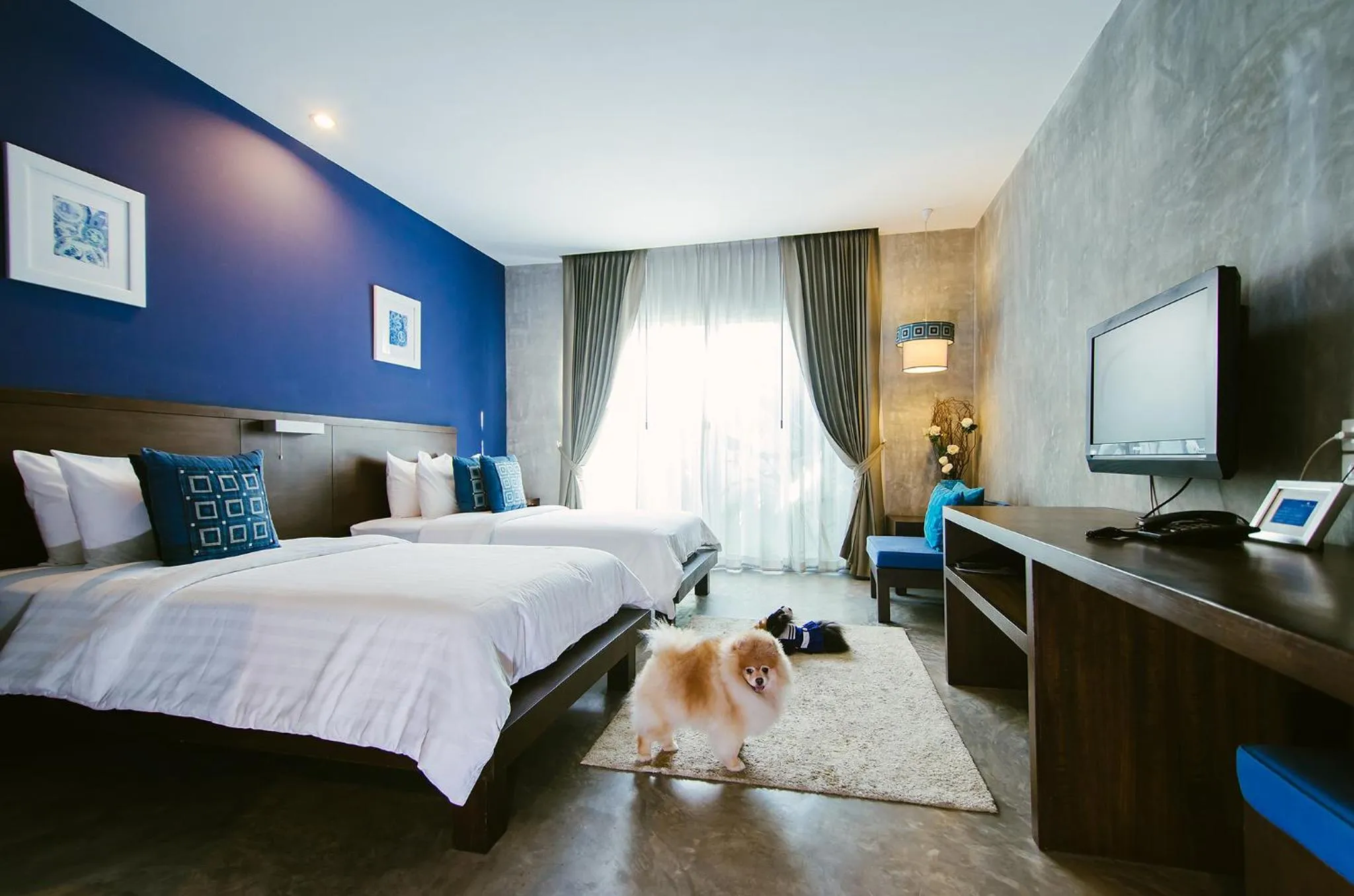 Photo of the whole room, Bed in Ketawa Pet Friendly Hotel