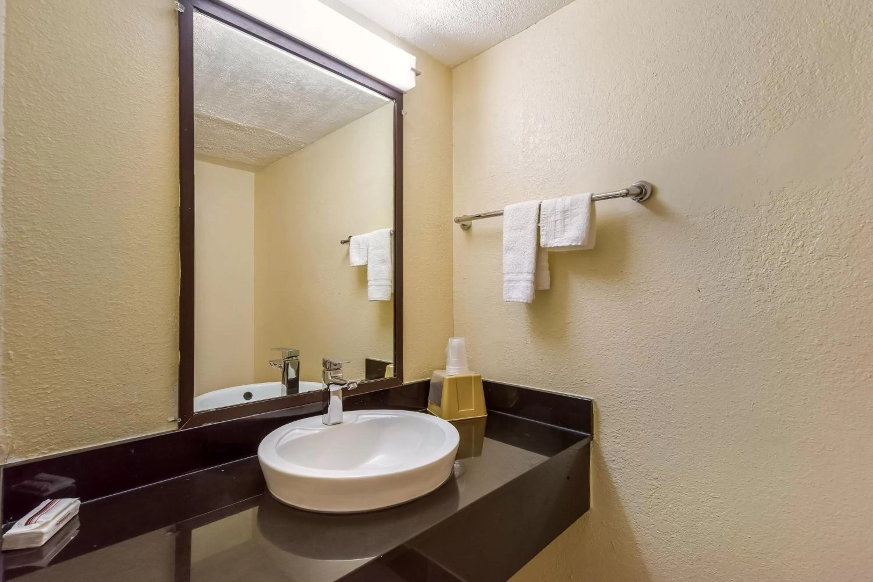 Bathroom in Red Roof Inn Plano