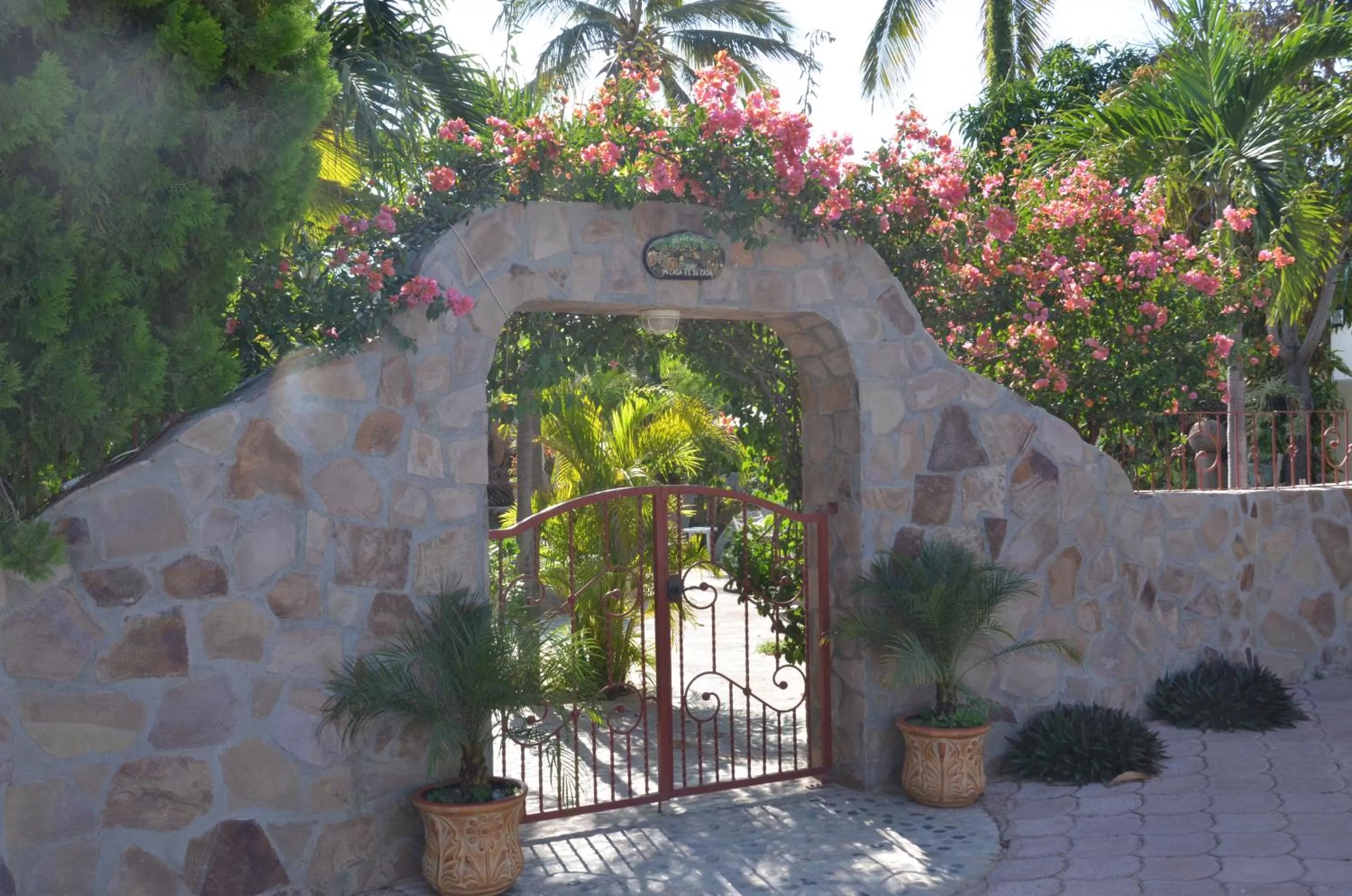 Garden in Hacienda De Palmas