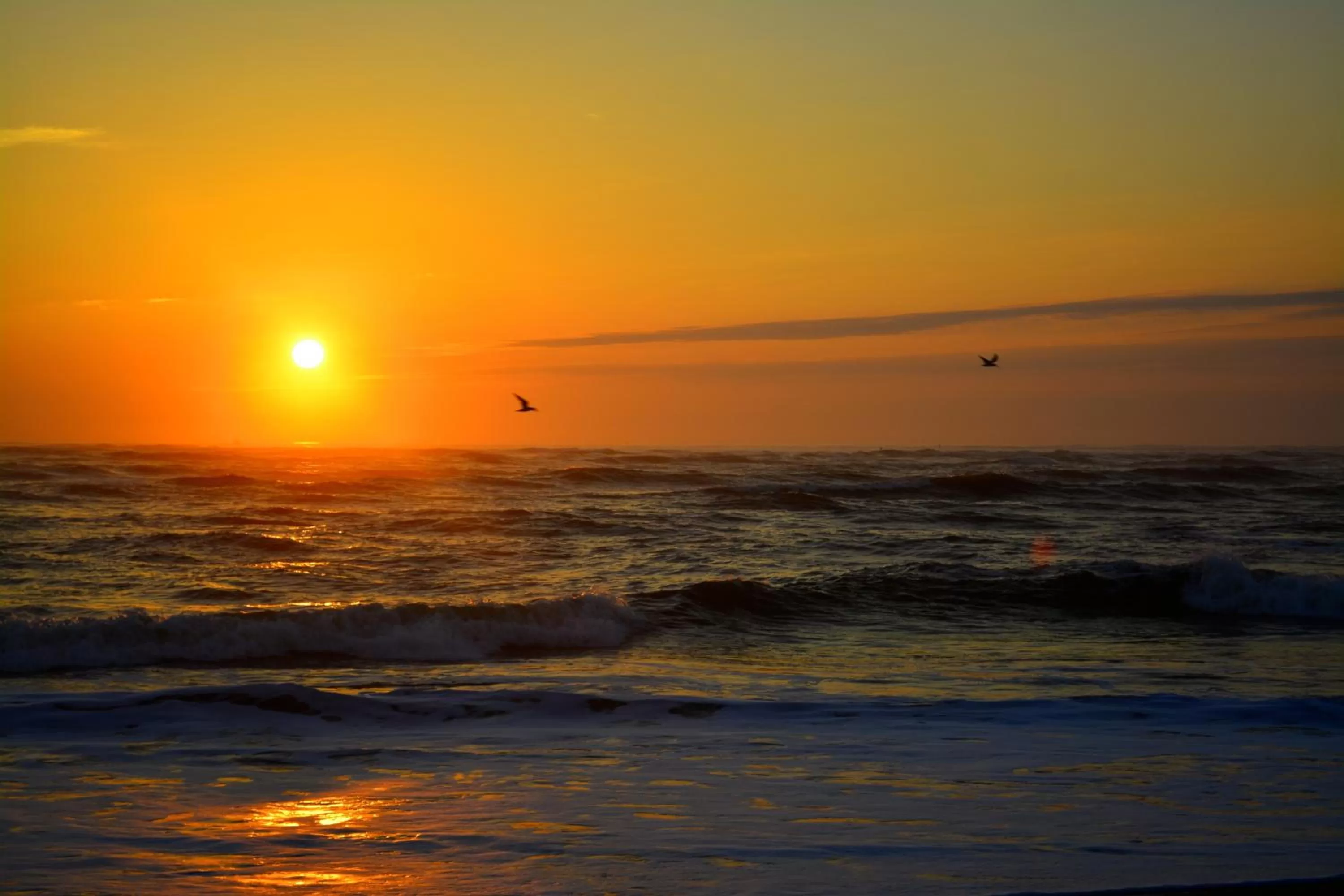 Natural landscape in The Saint Augustine Beach House