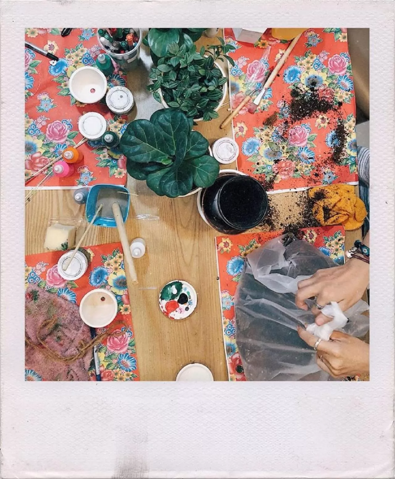 HOSTIE SAIGON [WANDERLUST Home]