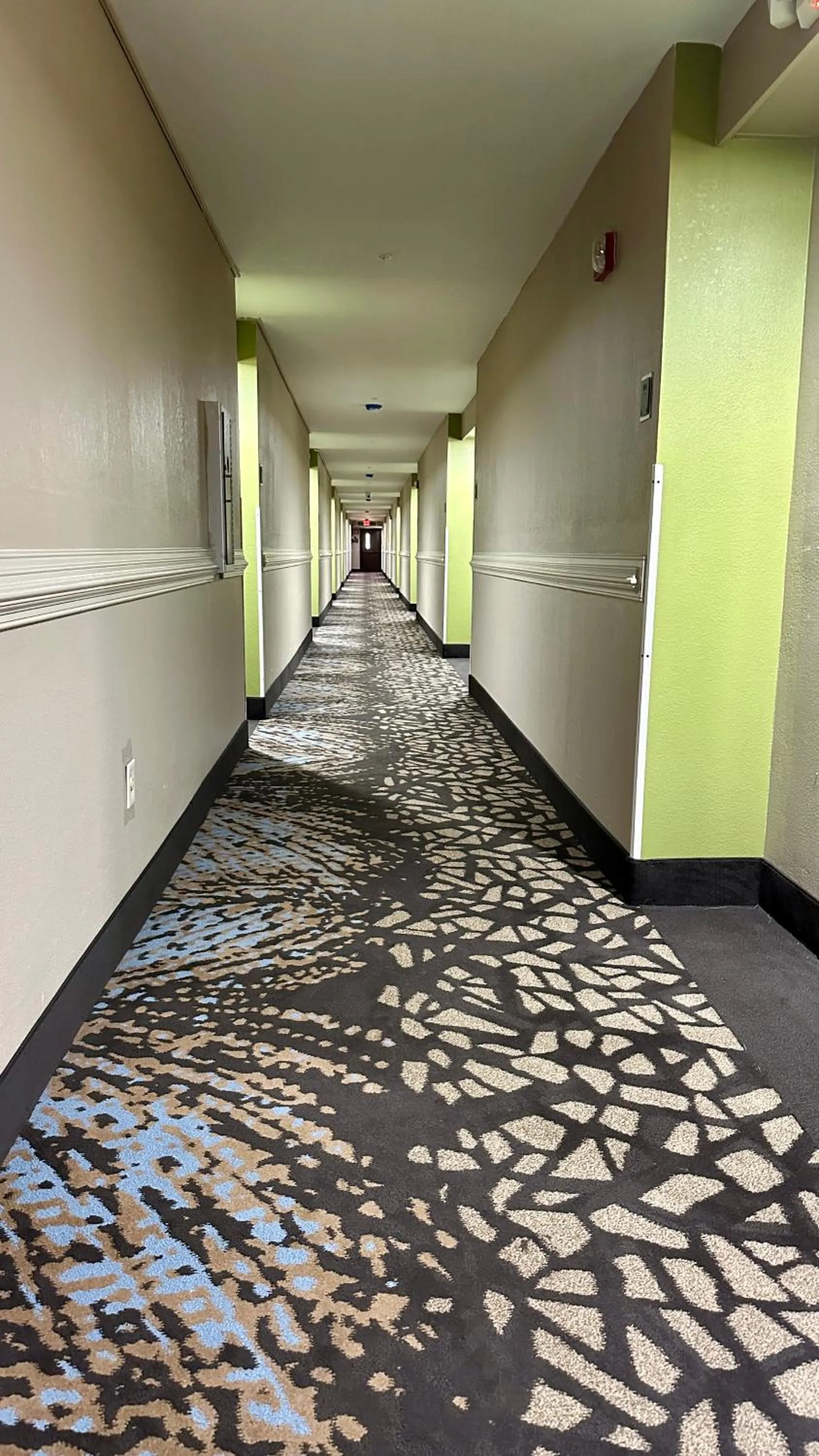 Lobby or reception in Sleep Inn Savannah Gateway I-95