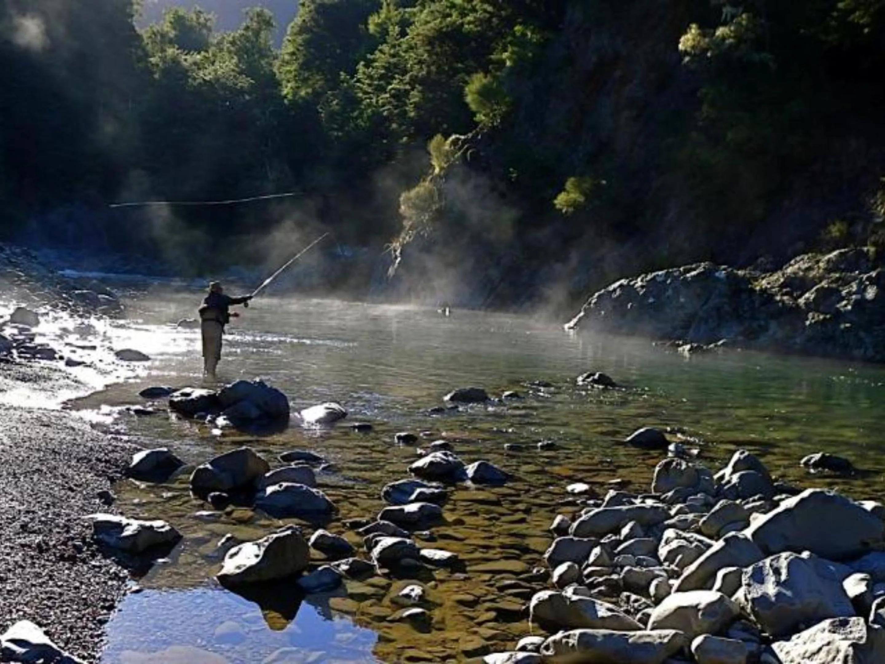 Fishing in River Birches