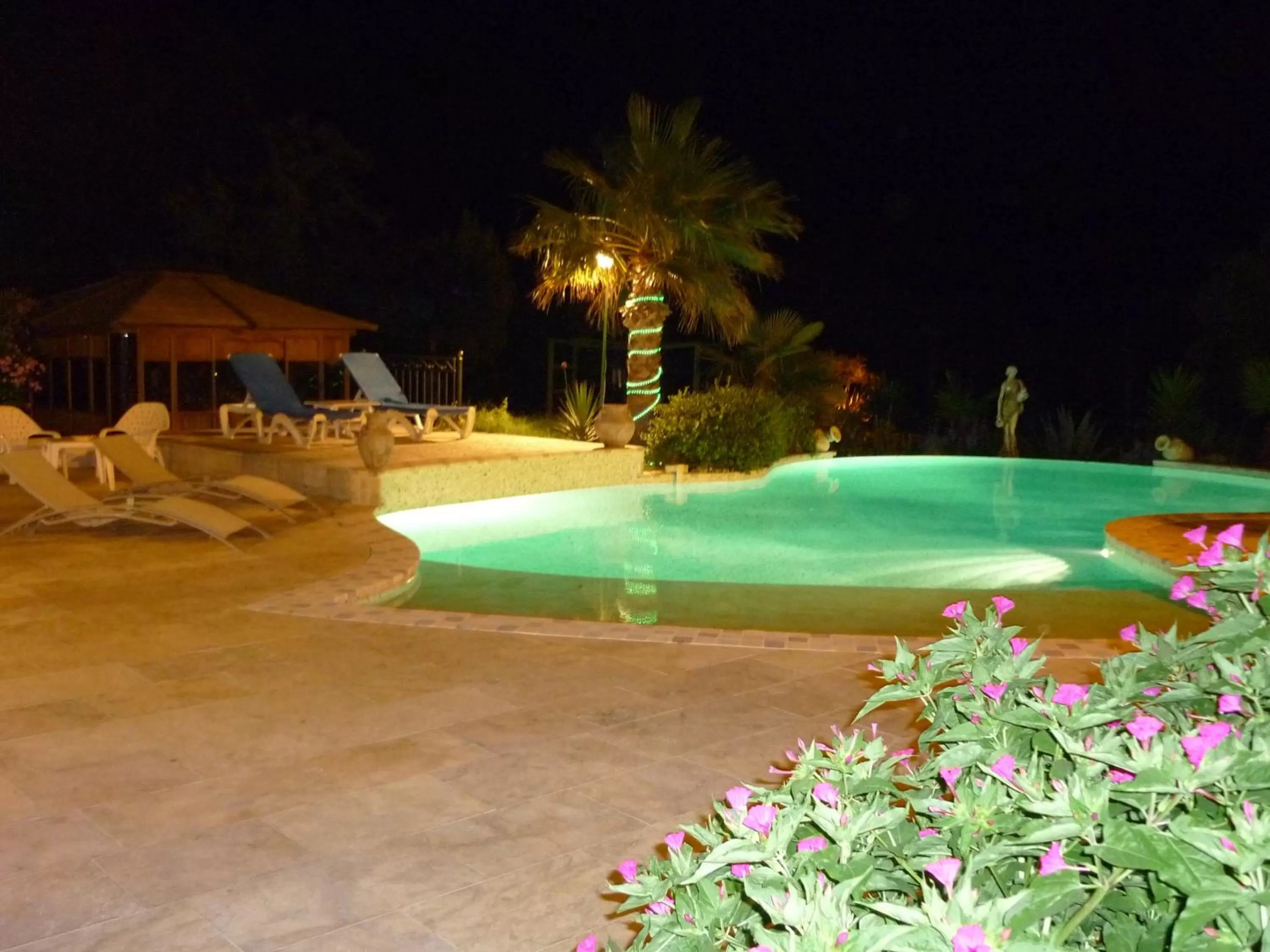 Swimming pool in Mas de la Montille