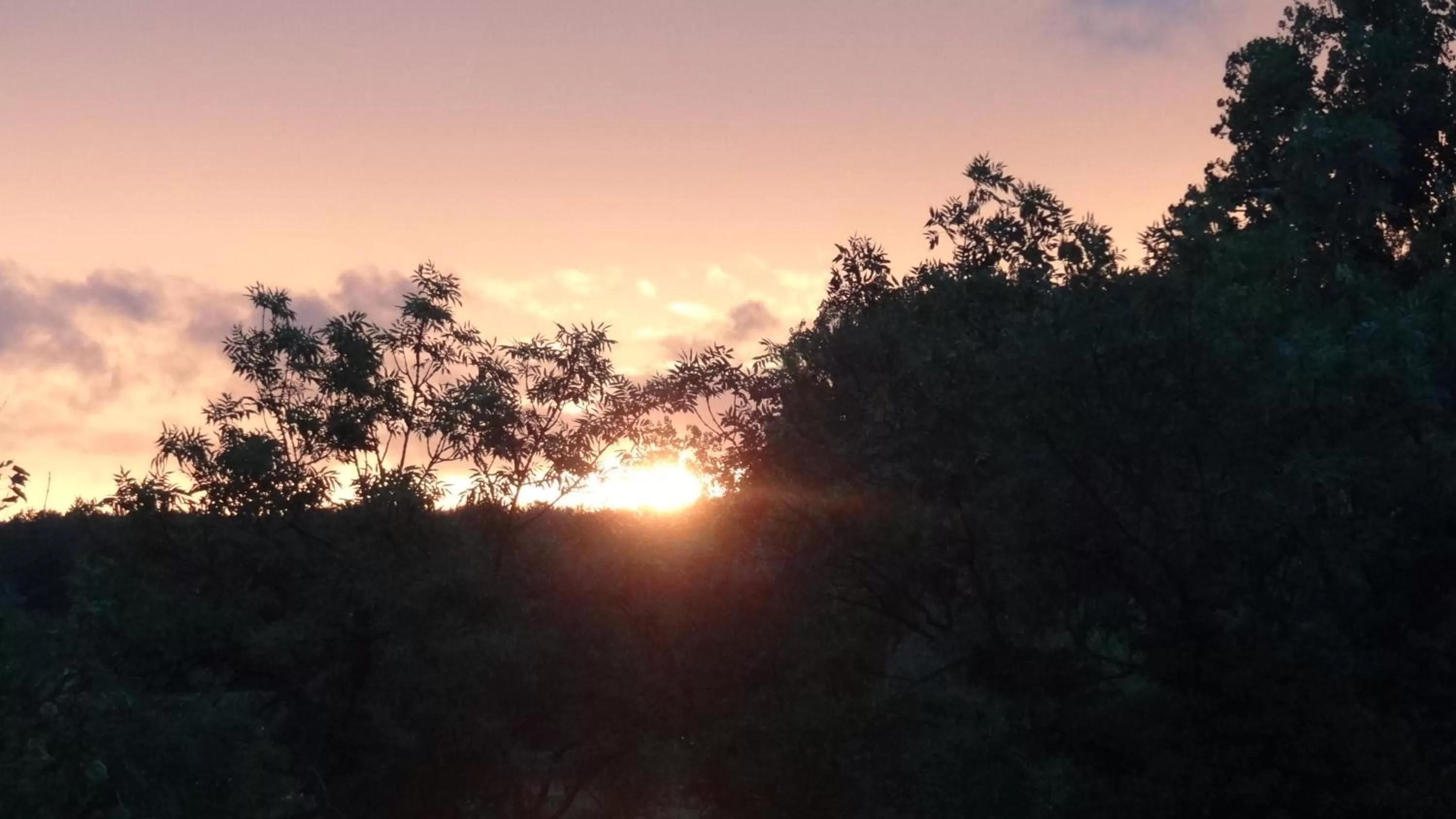 River view in aussicht bio hotel restaurant cafe