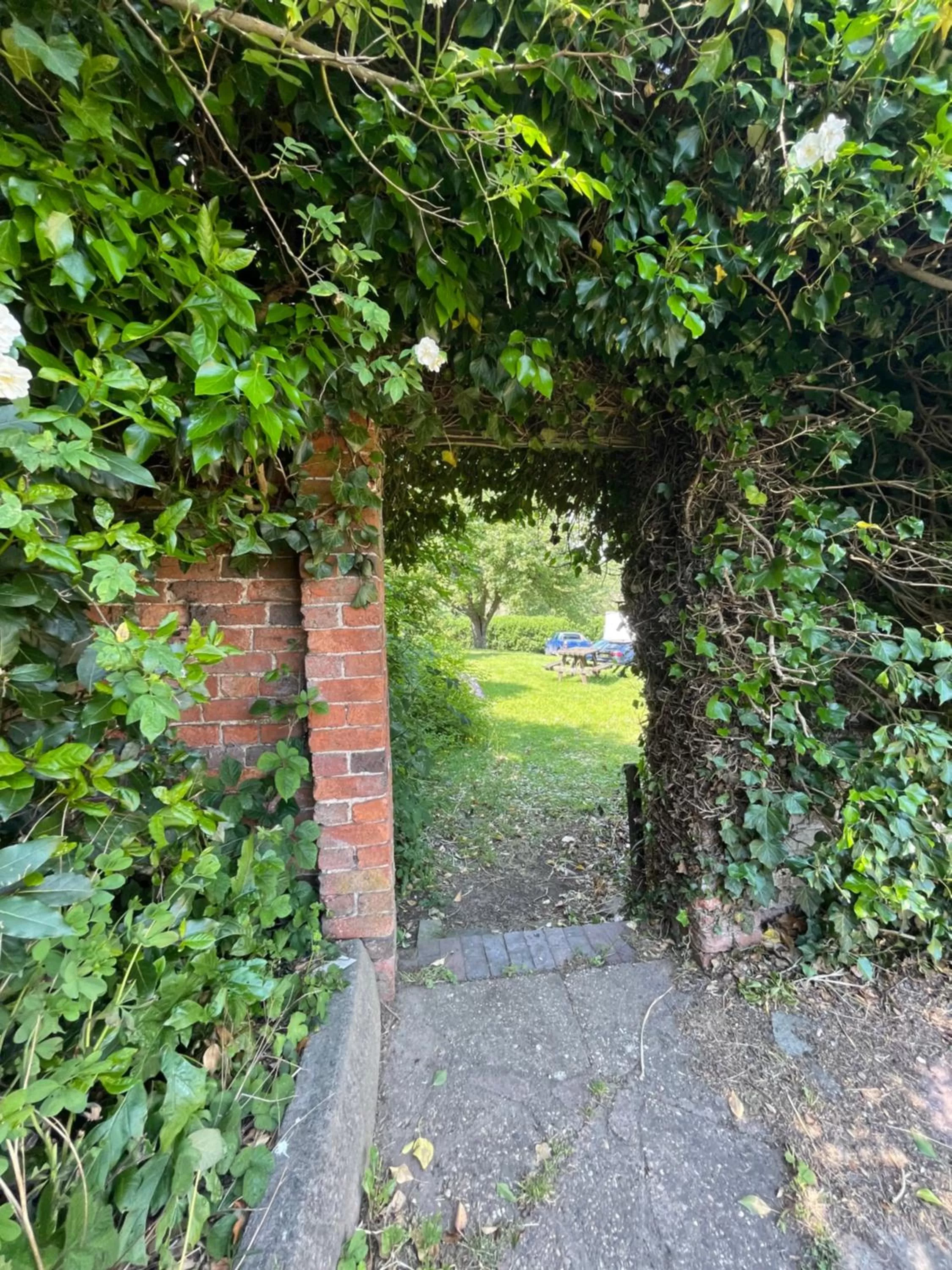 Garden in The Maltsters Country Inn