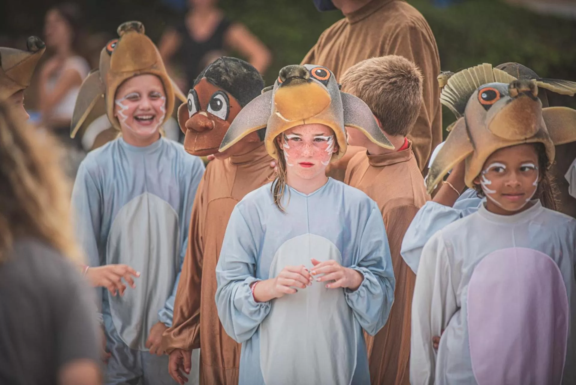 Entertainment in Blau Colònia Sant Jordi