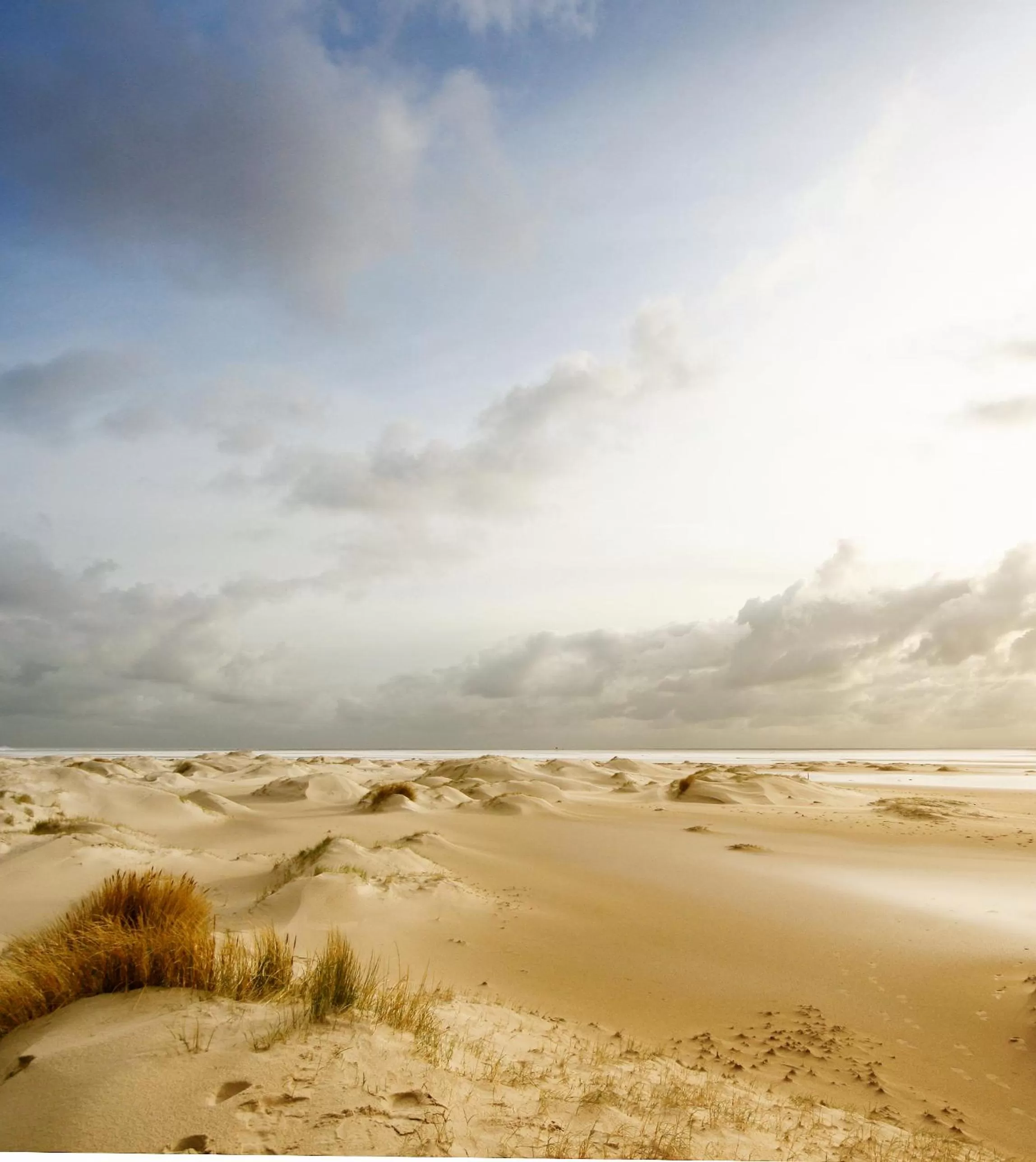 Natural landscape, Beach in B&B Vloedlijn Texel