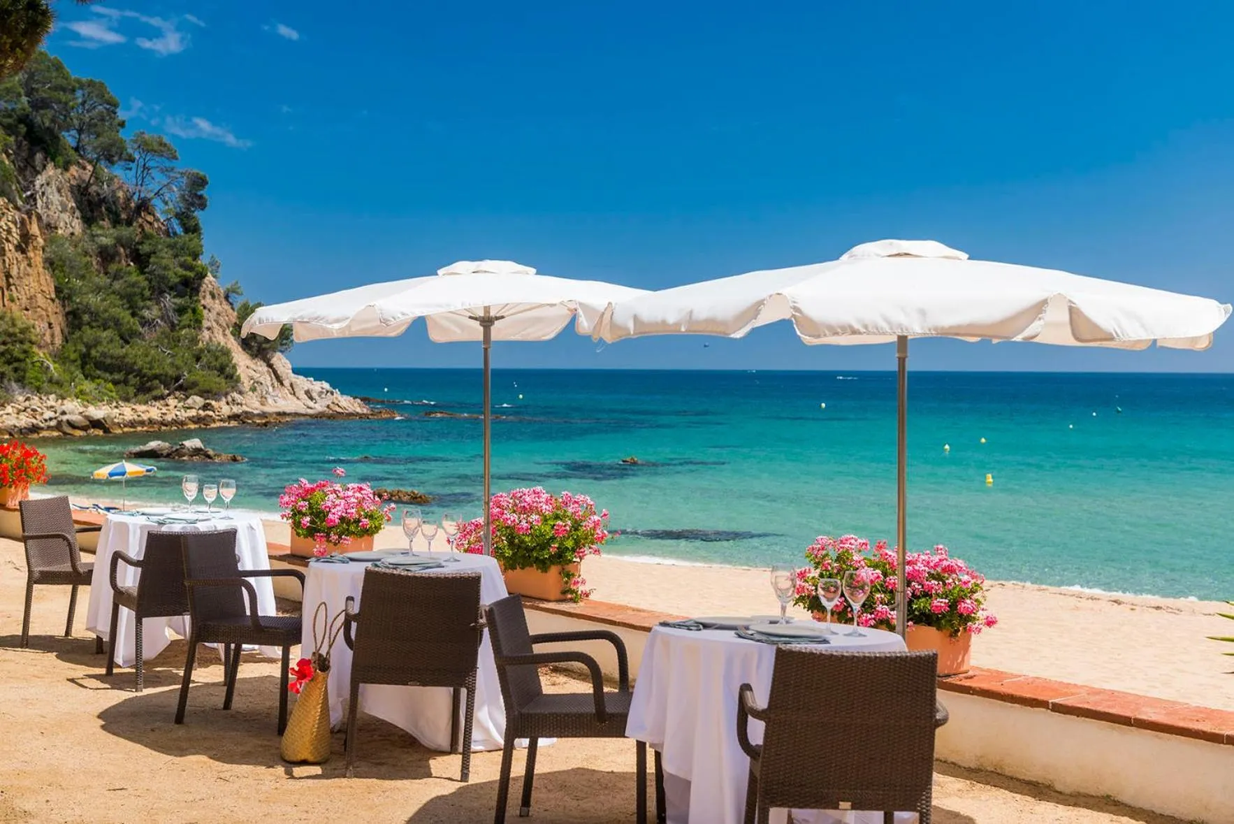 Restaurant/places to eat in Hotel Santa Marta