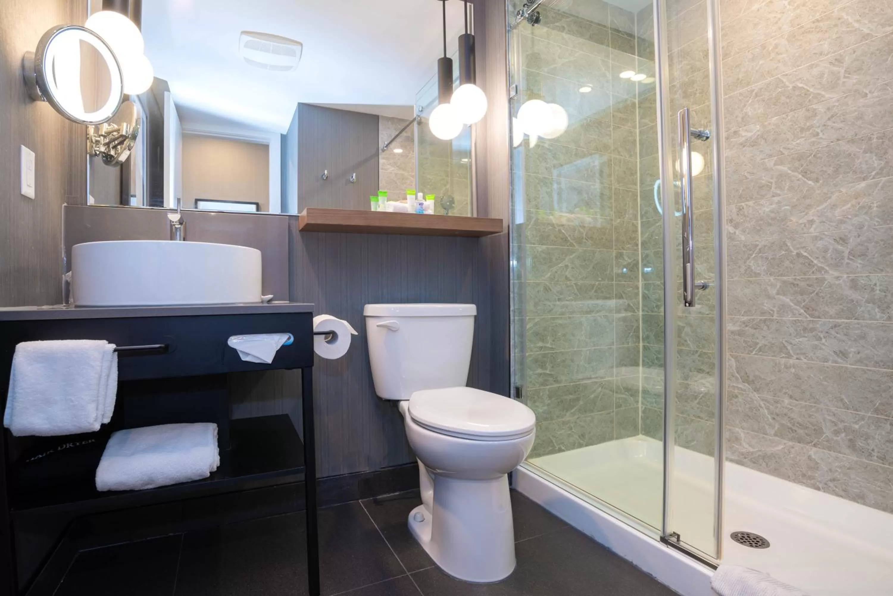 Bathroom in Sandman Hotel Hamilton