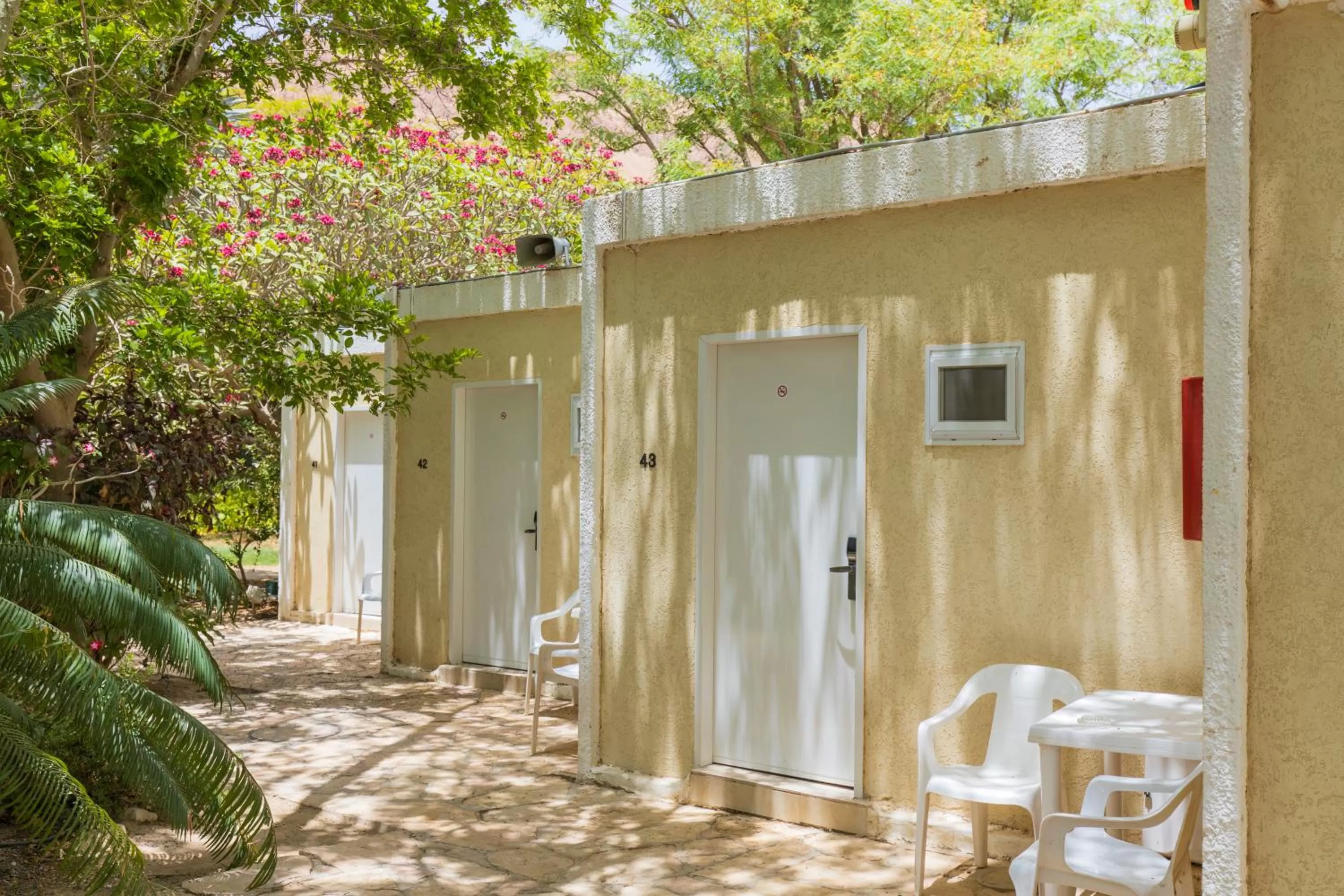 Standard Double or Twin Room - single occupancy in Ein Gedi Kibbutz Hotel