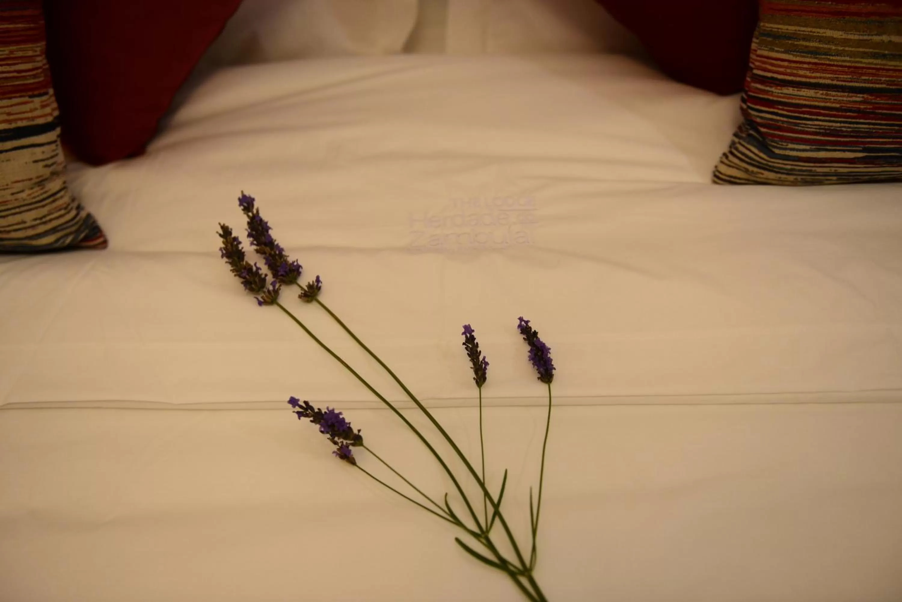 Bed in Vistas - Herdade do Zambujal