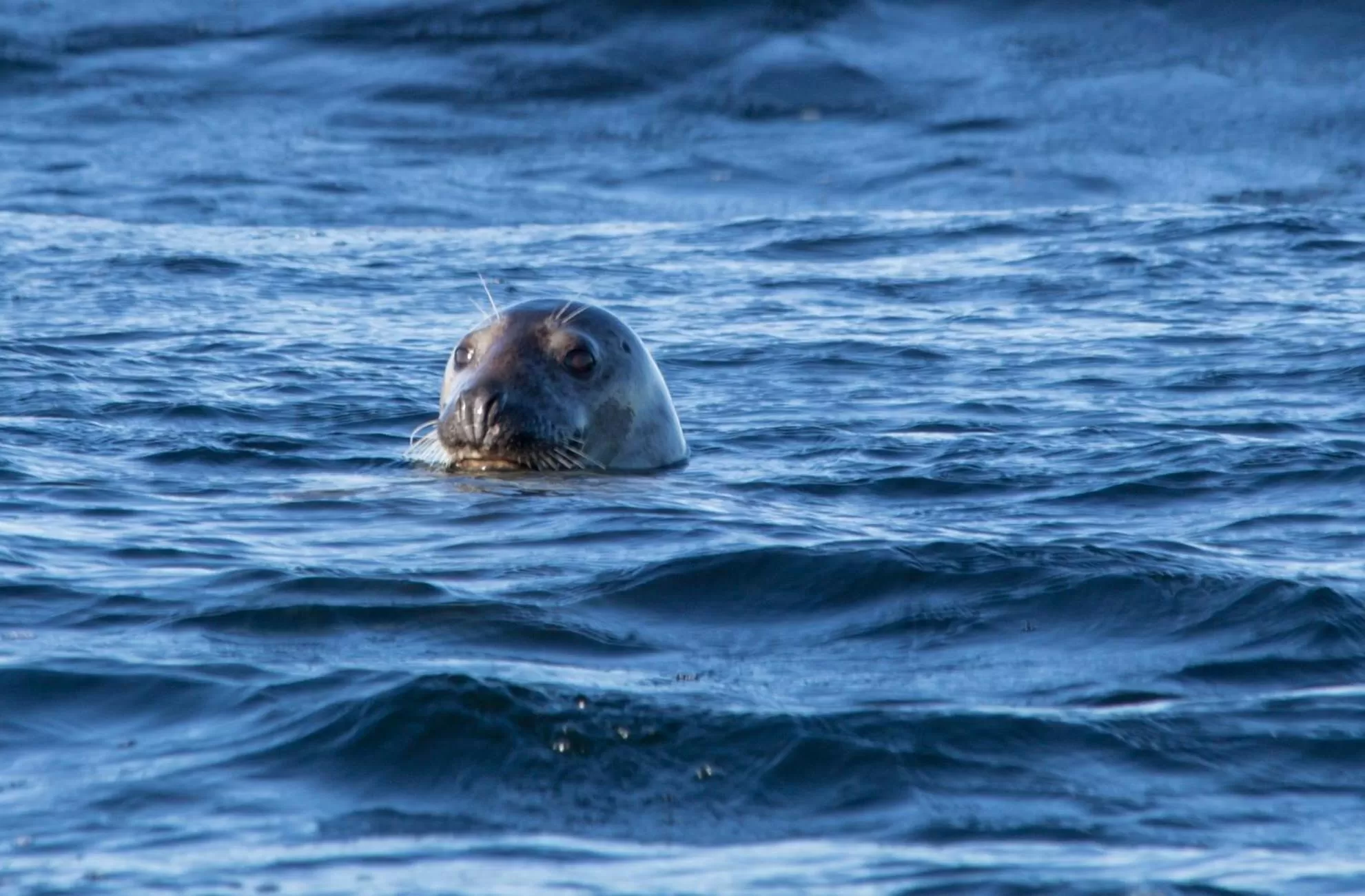 Sports in Hummeren Hotel