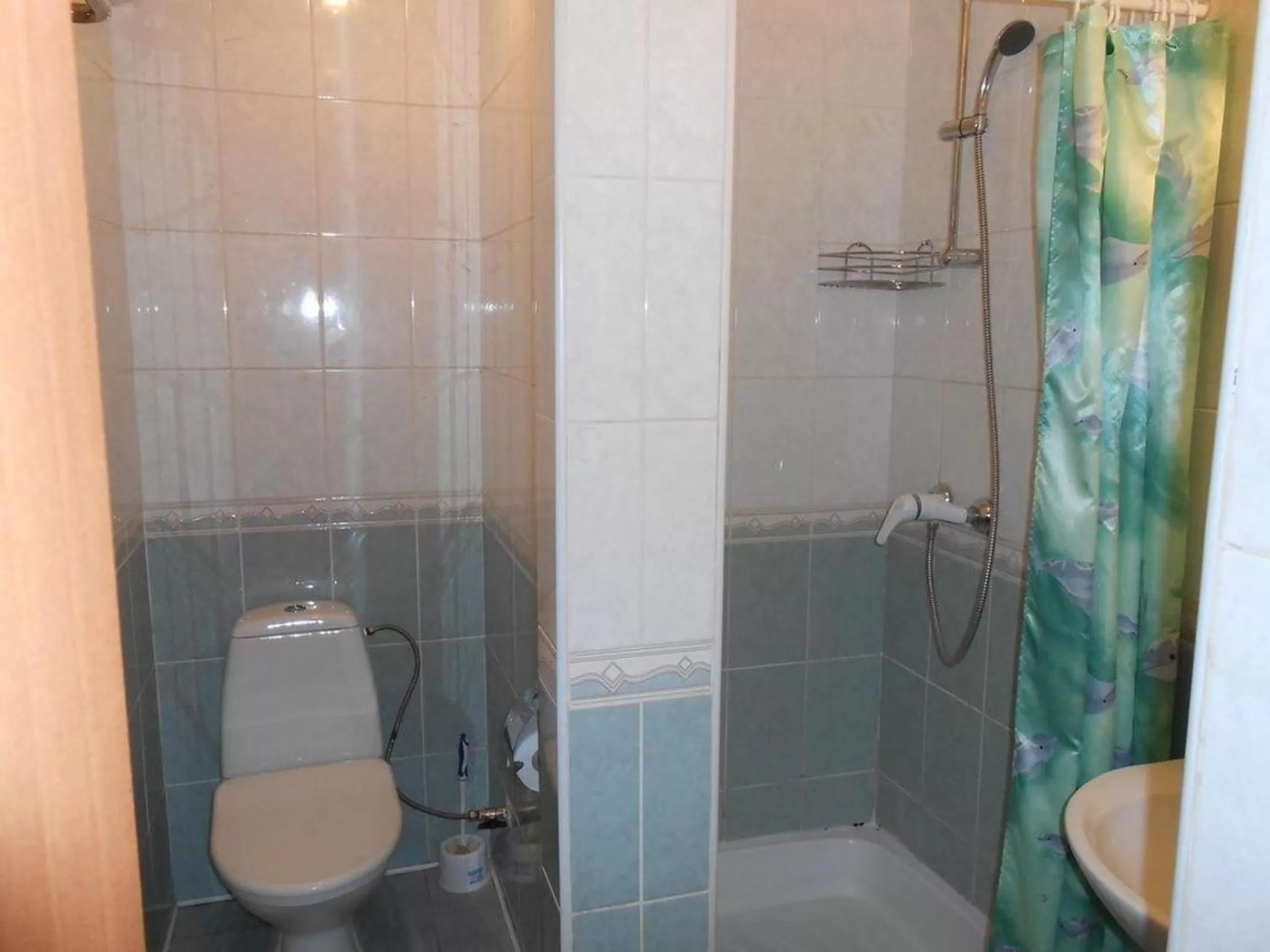 Toilet, Bathroom in Zhibek Zholy Hotel