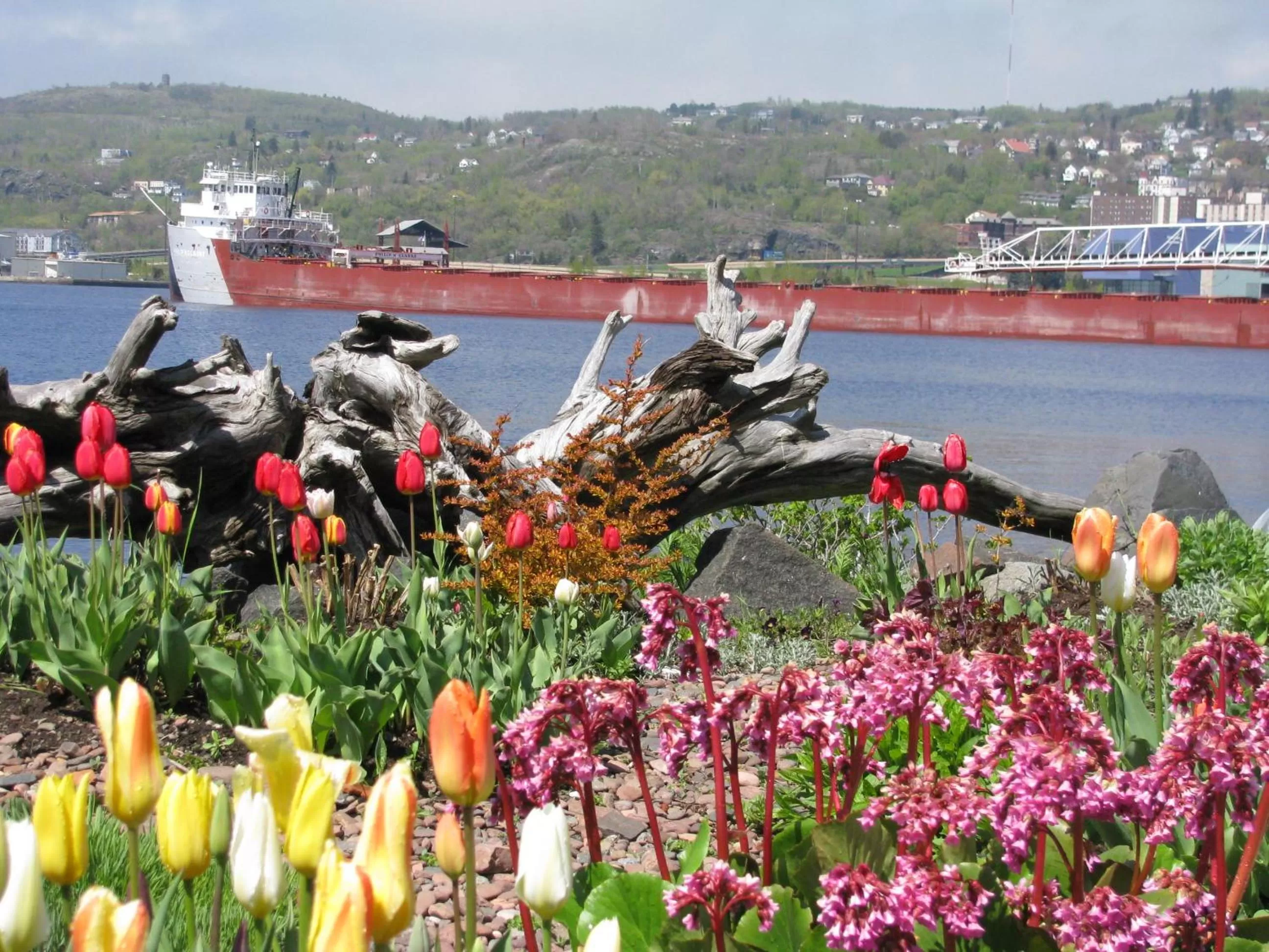 Area and facilities in South Pier Inn