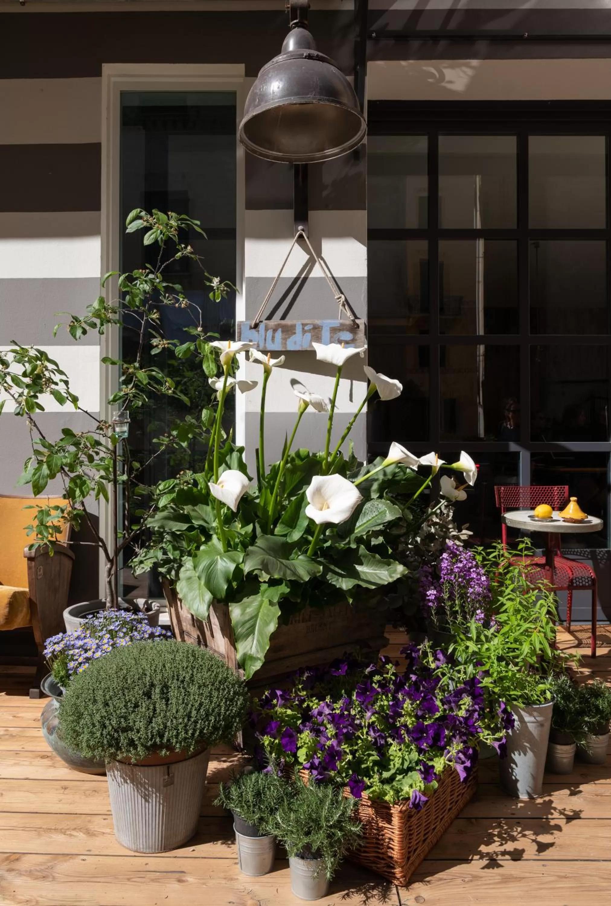 Garden in Hotel Blu di Te