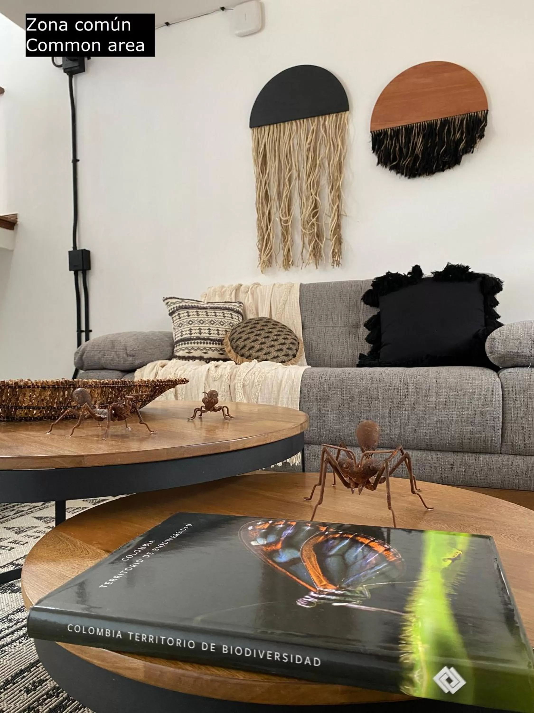 Living room, Seating Area in Casa Medallo