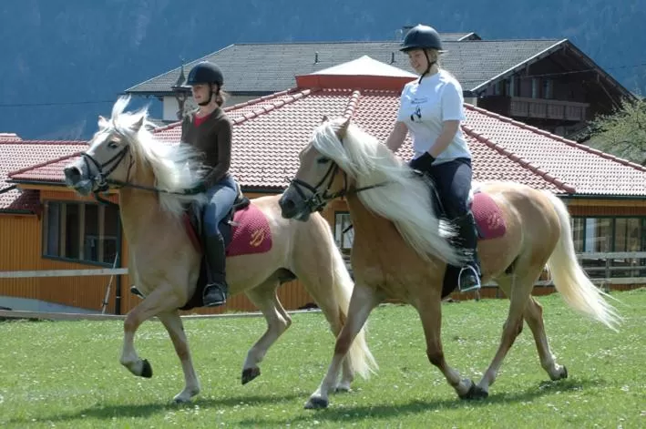 Horse-riding, Horseback Riding in Hotel Hauserwirt