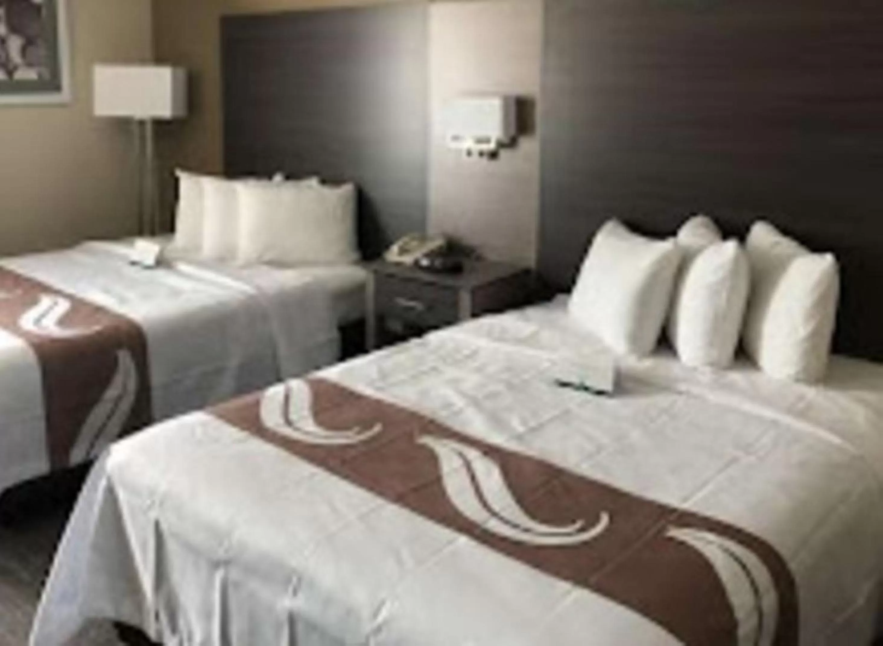 Bedroom, Bed in Quality Inn & Suites Roanoke - Fort Worth North