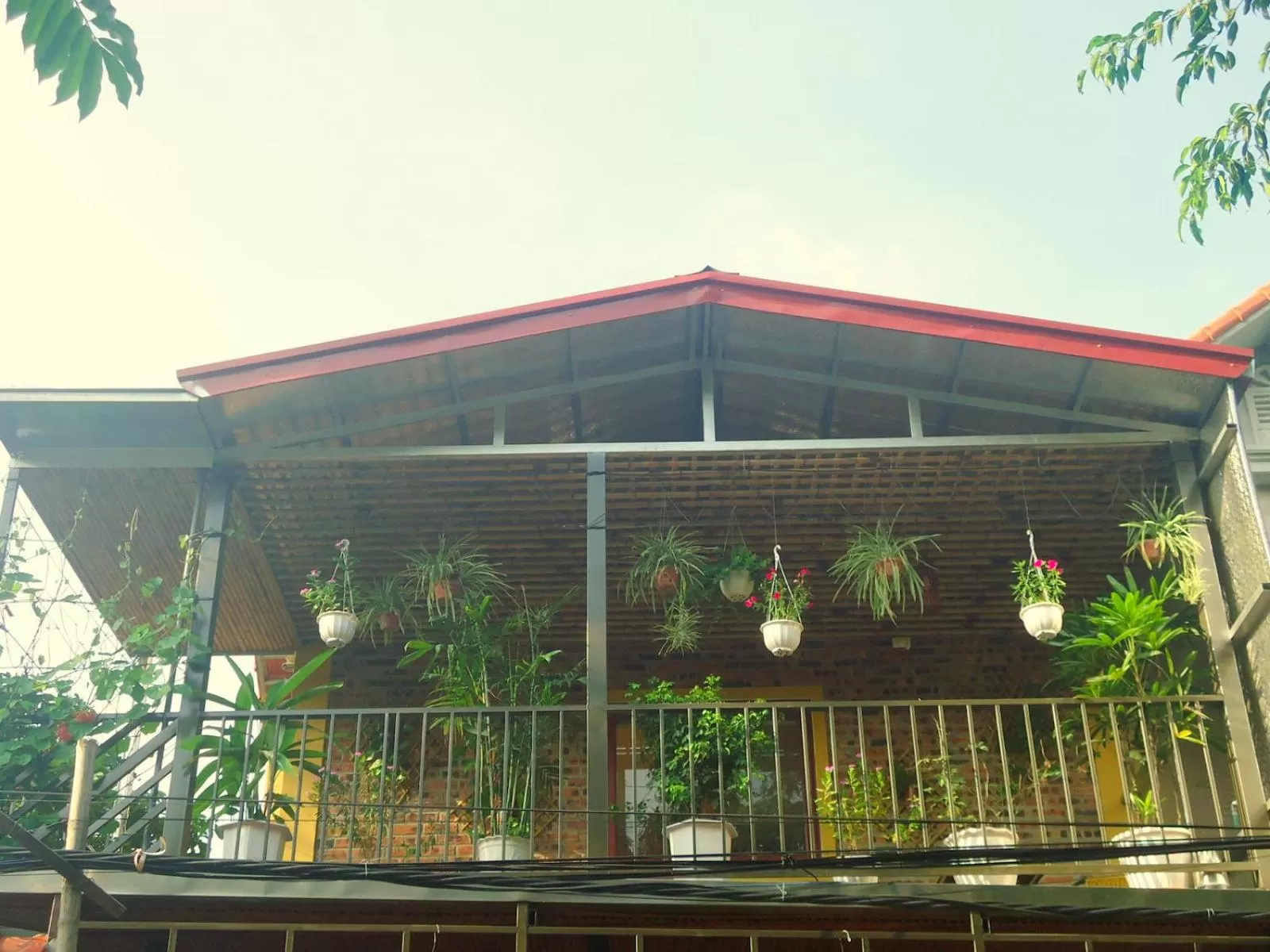 Balcony/Terrace in Green Space Homestay