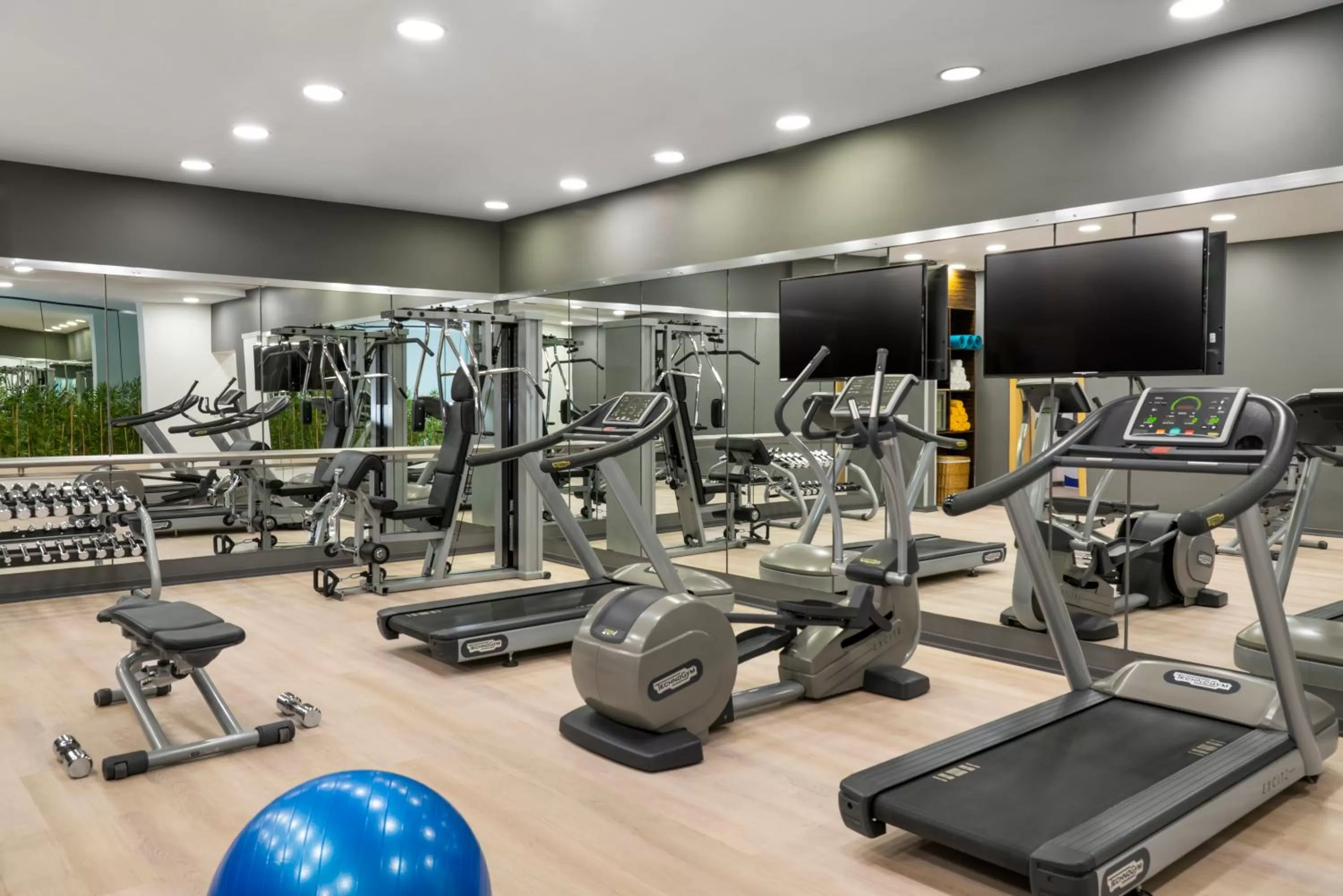 Fitness centre/facilities in Novotel Kayseri