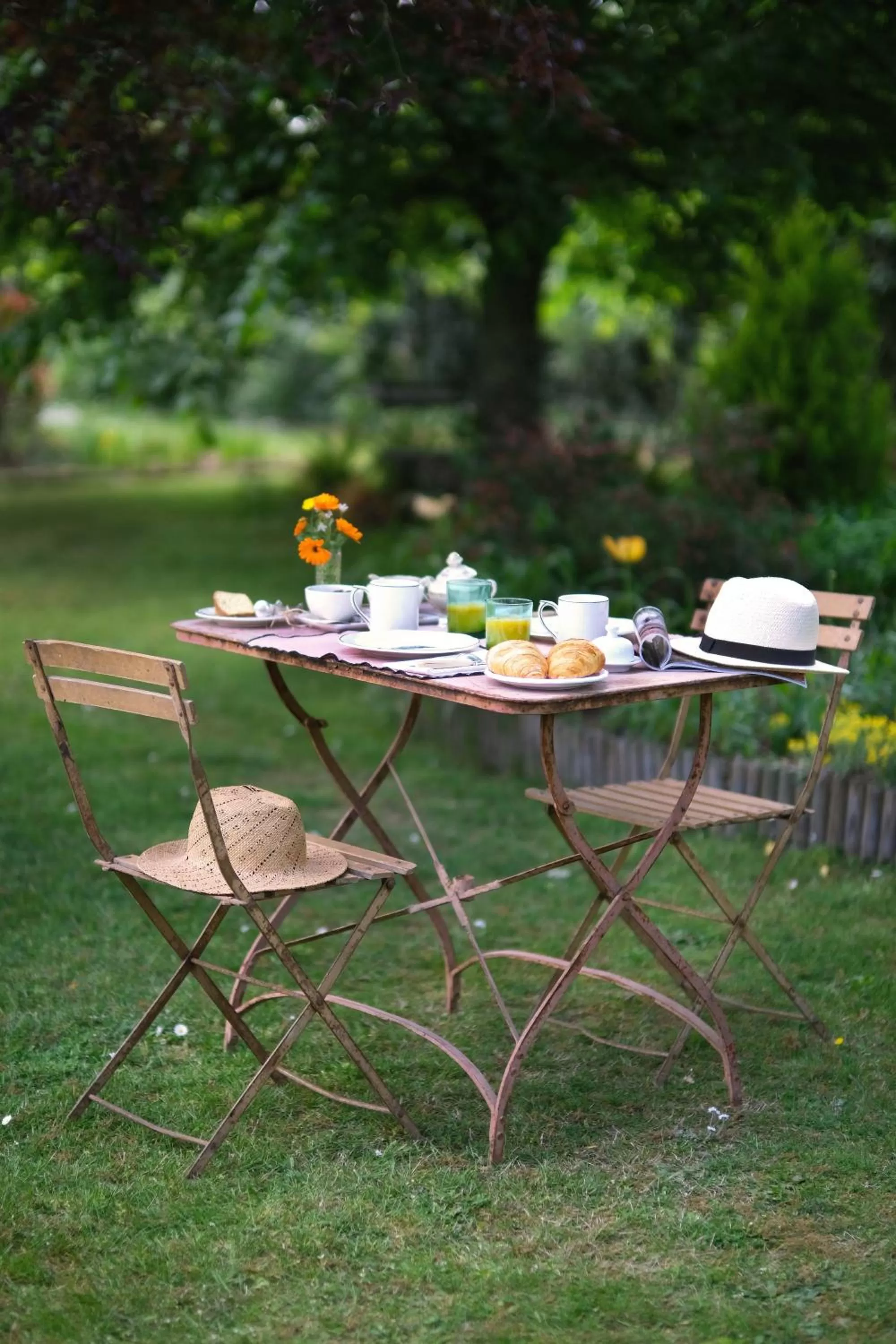 Food and drinks in L'Orme Blanchet