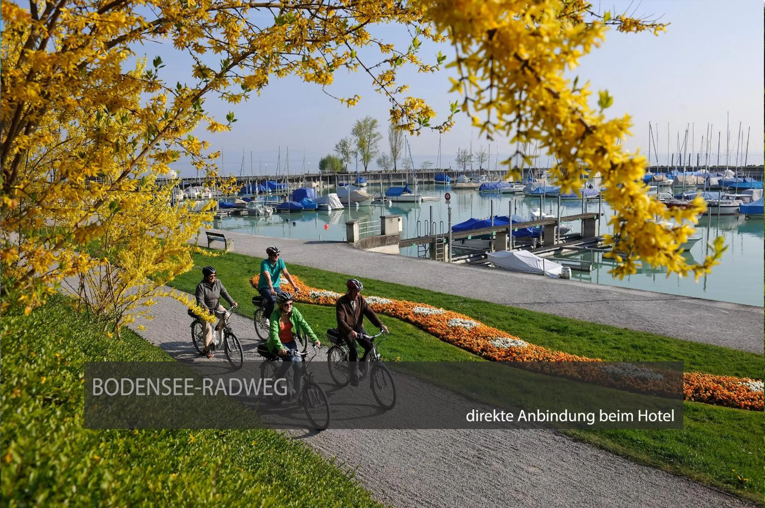 Natural landscape in Hotel Kreuzlingen am Hafen