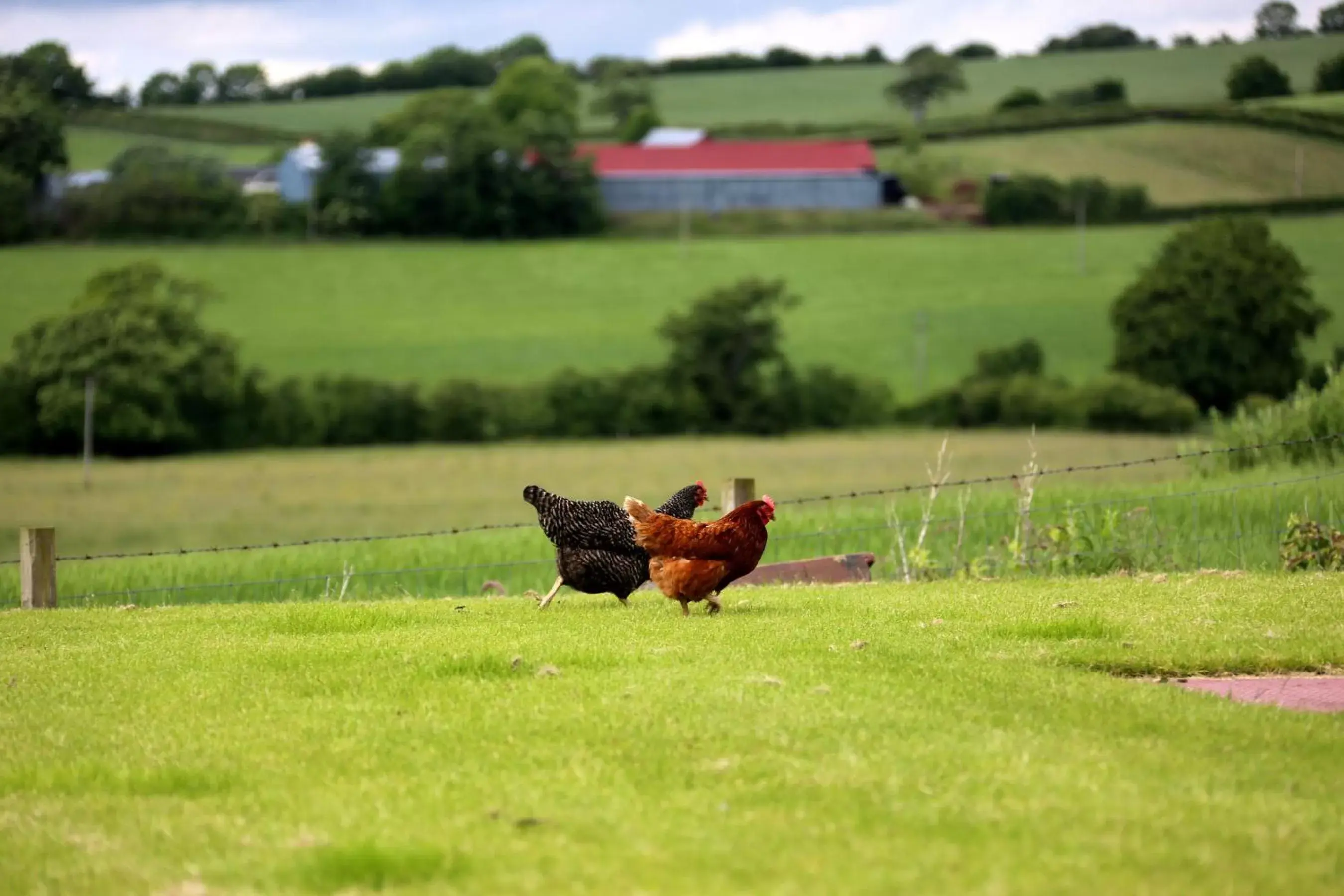 Double Room with Garden View en-suite in Crofthead Farm House Double Room with Garden View en-suite in Crofthead Farm House