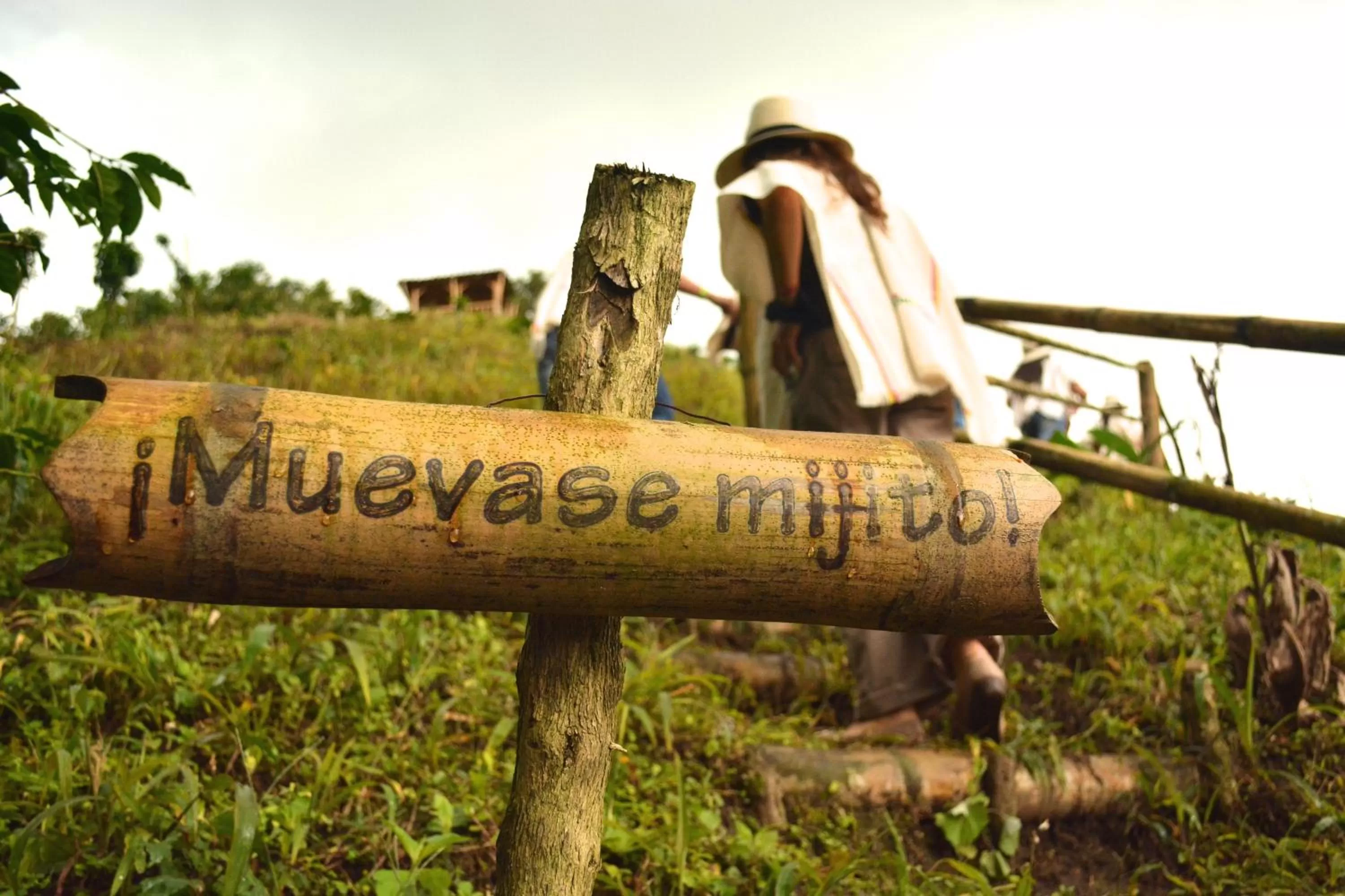 Activities in Finca del Café - Casa Typica