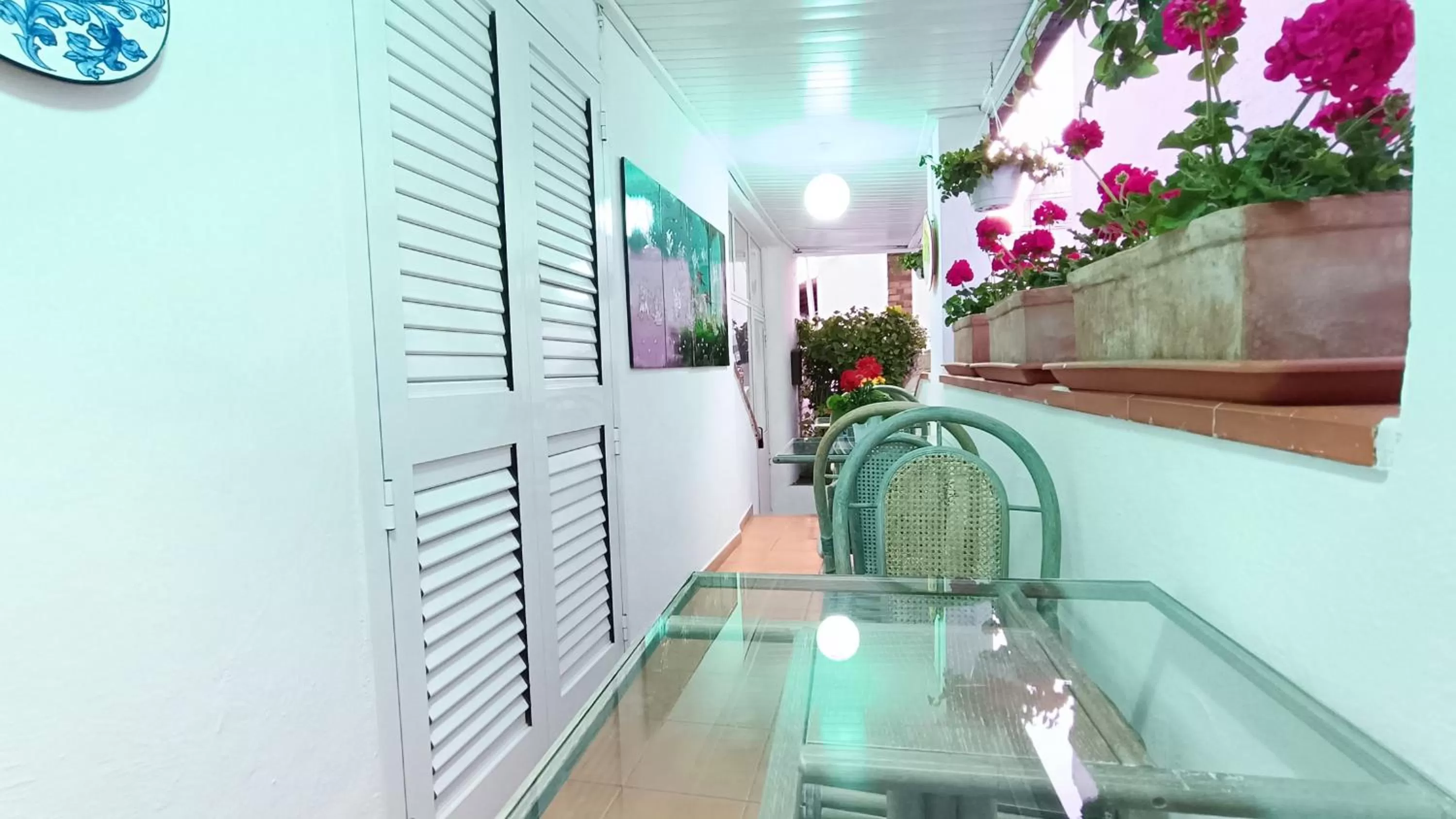 Patio in Hotel Casa Nicola